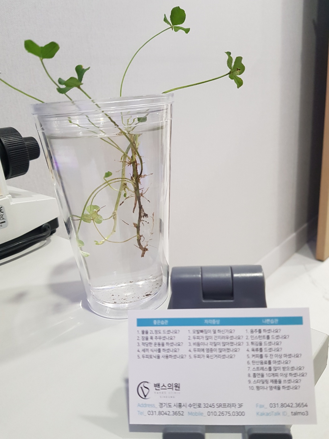 밴스케어 대표 이미지