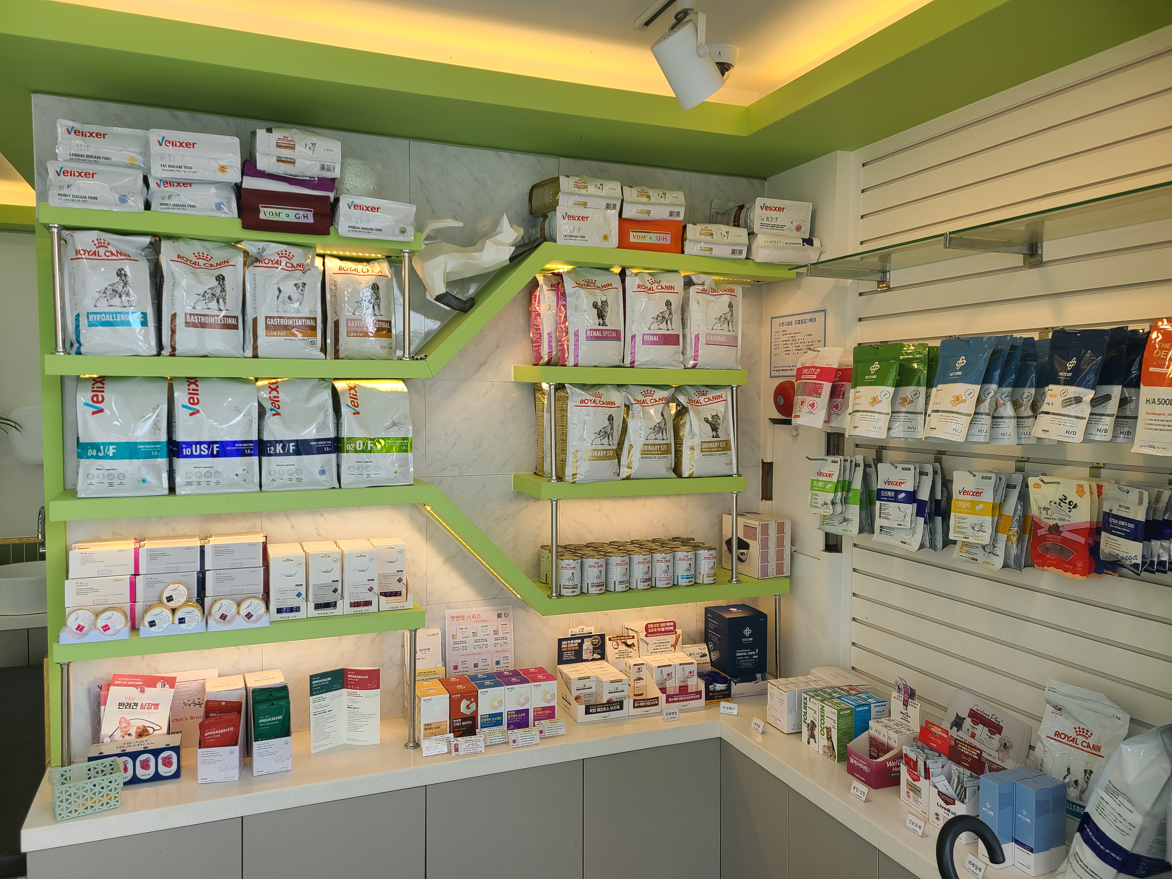 보성통증동물병원 대표 이미지