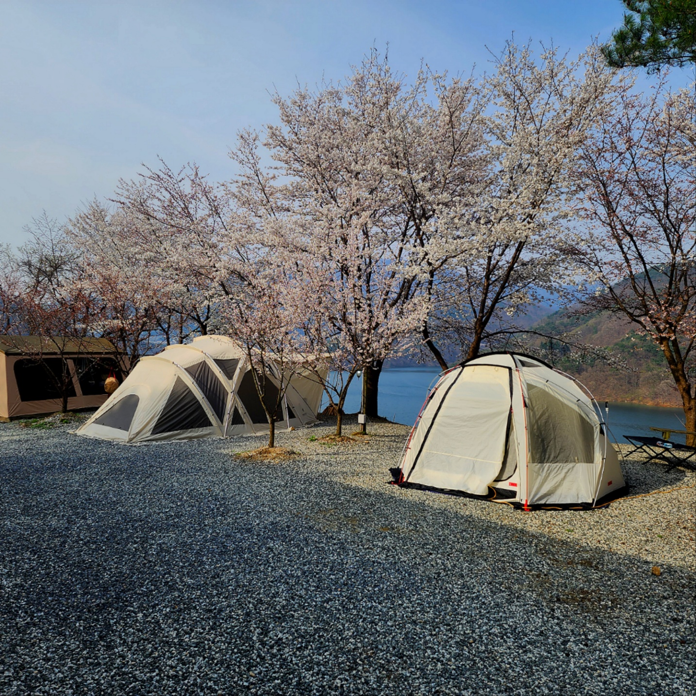 캠핑장 사진