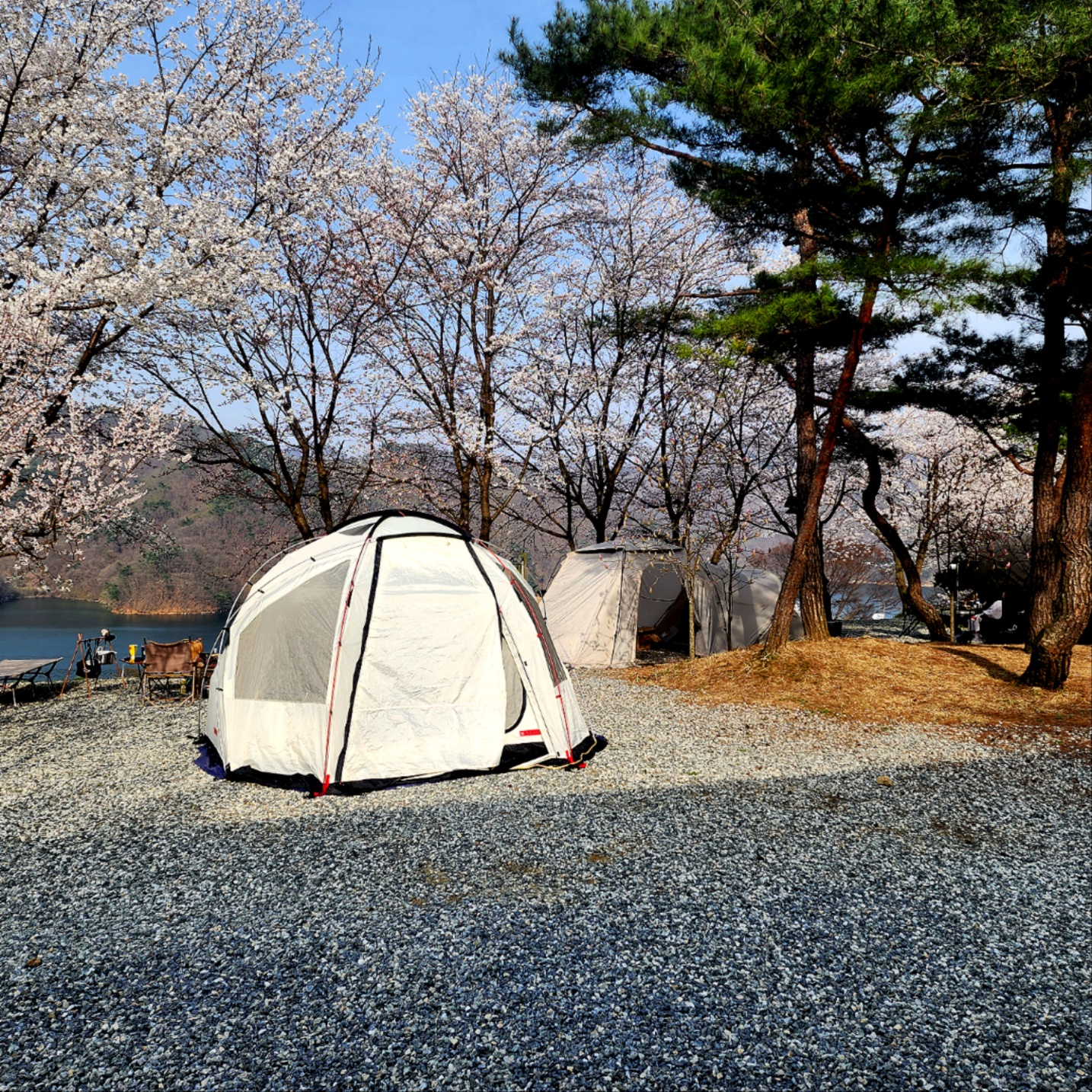캠핑장 사진