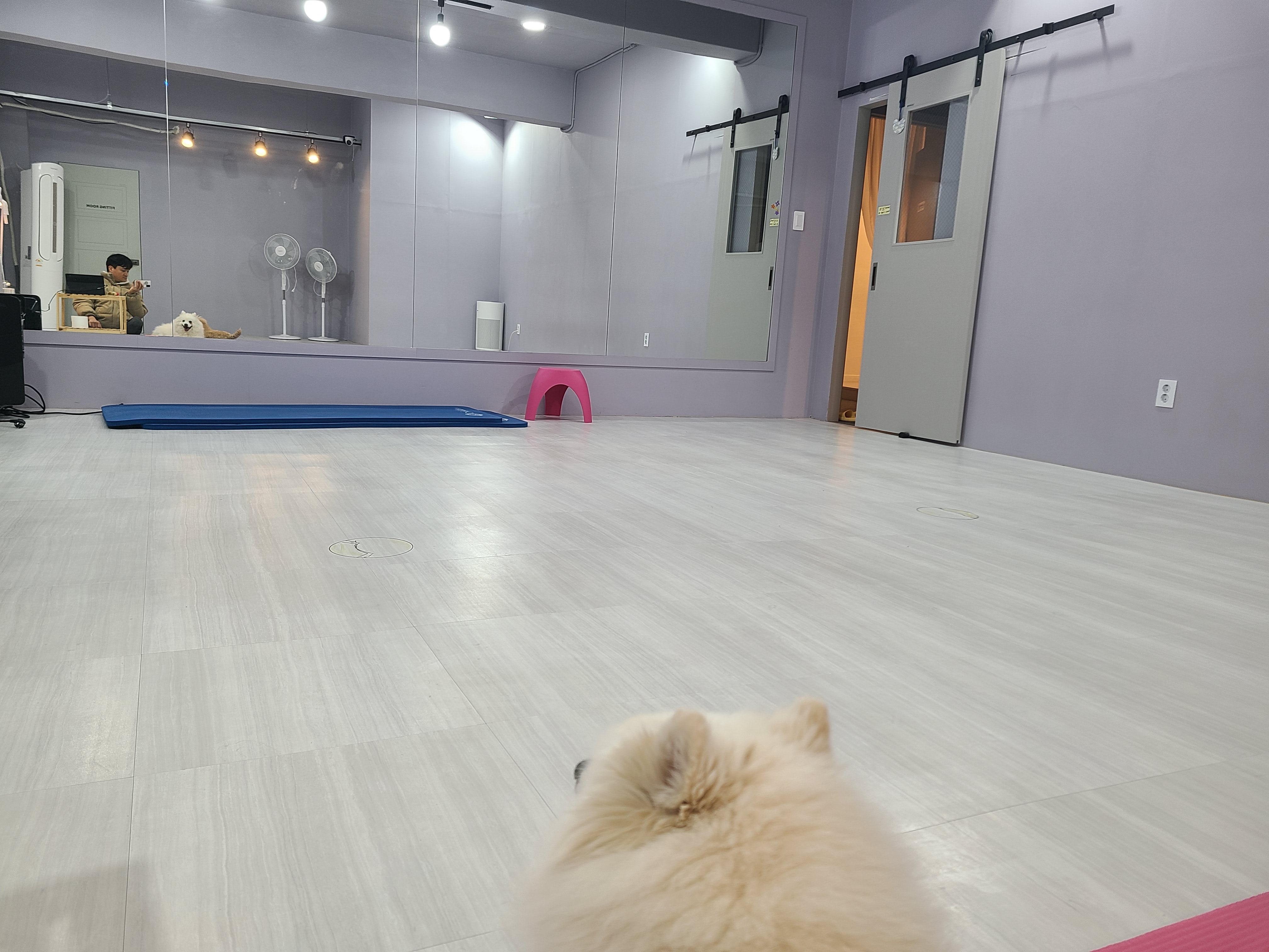 업독 대표 이미지