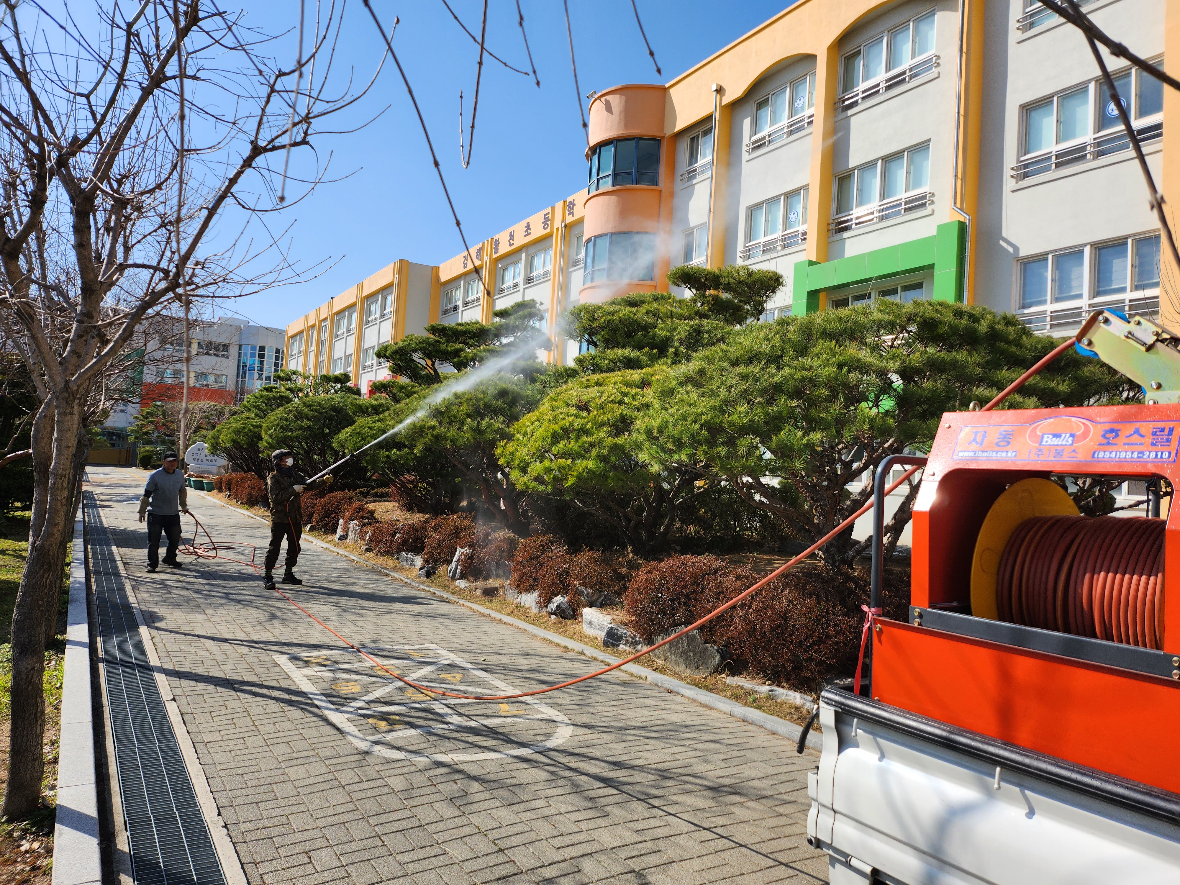 포레조경나무병원