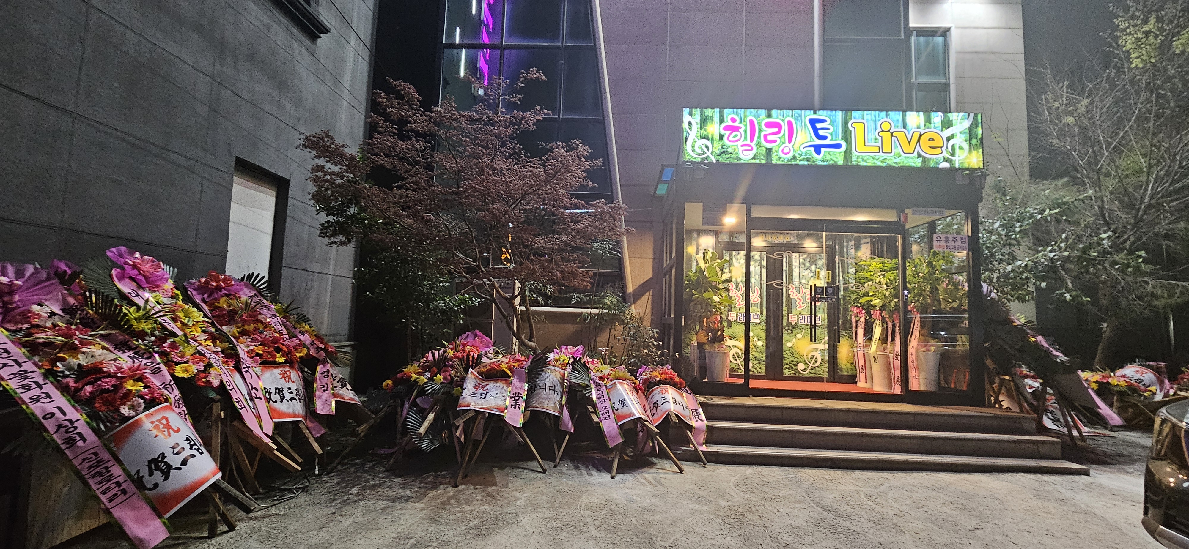 힐링투라이브
