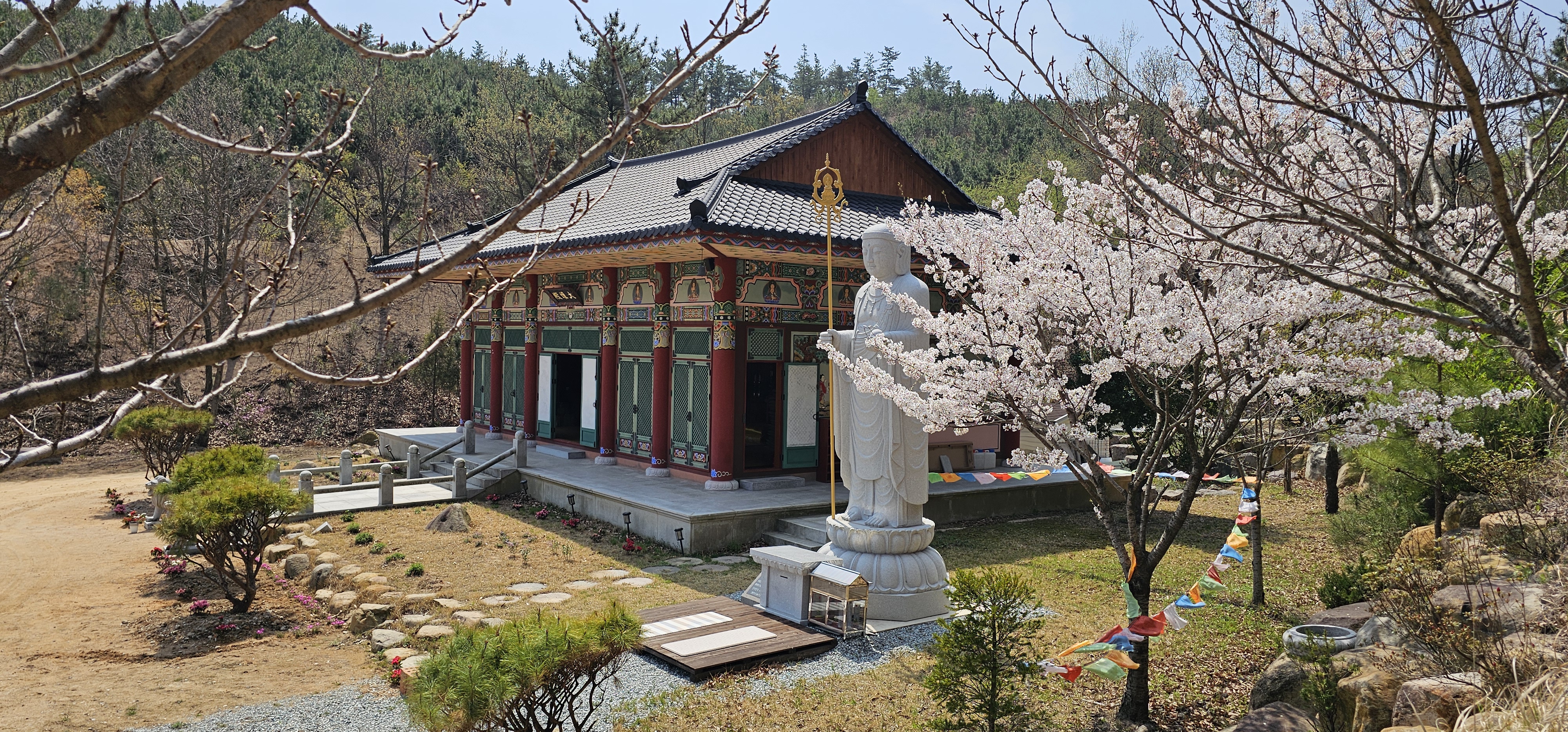 반야사