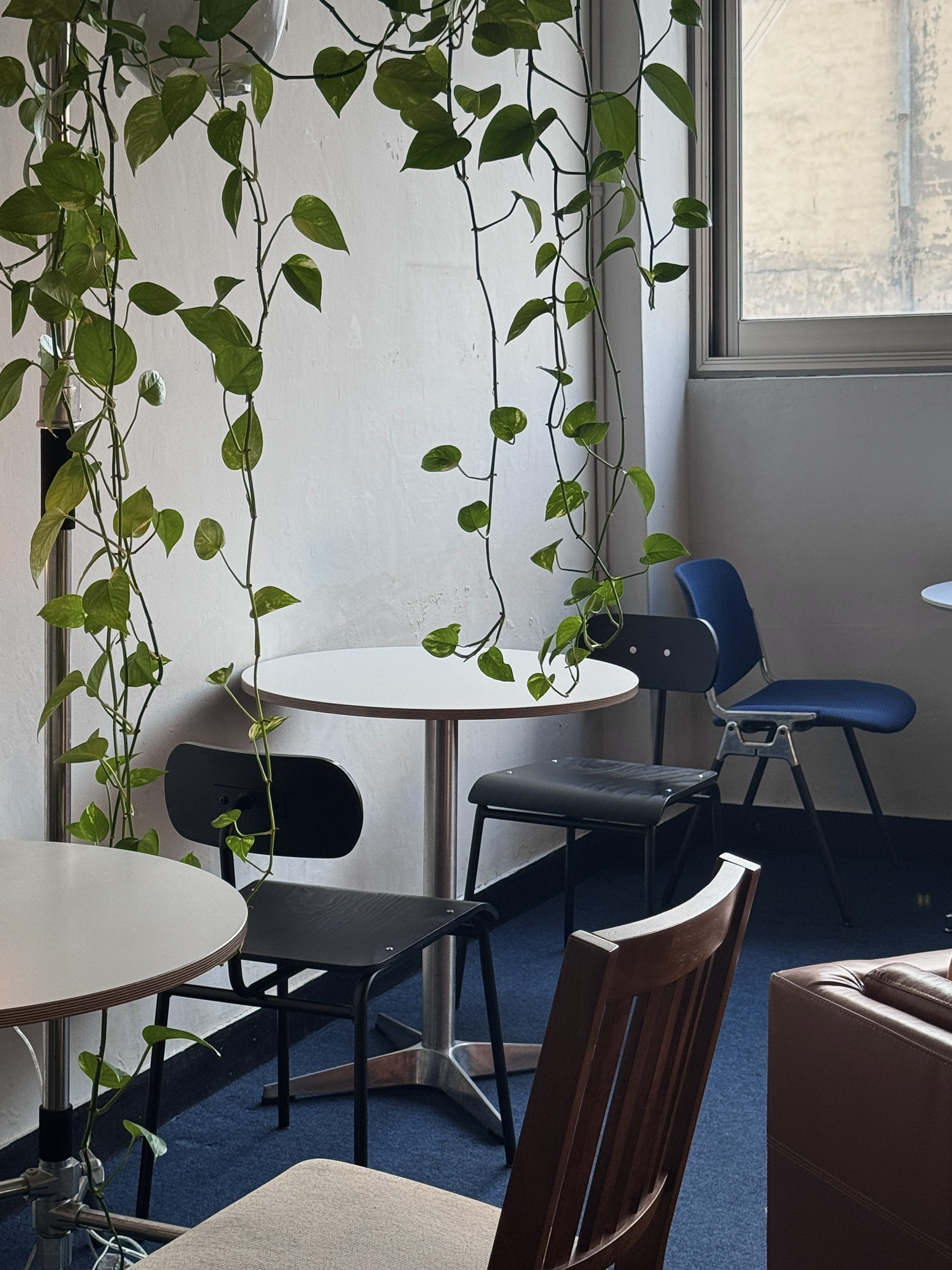 카페 캠페인 대표 이미지