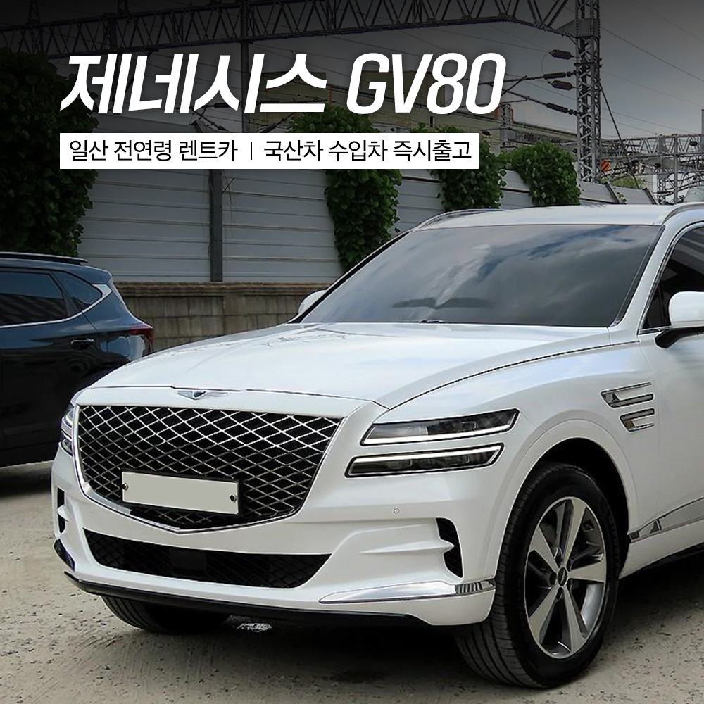 우정렌트카 일산영업소