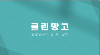 클린망고