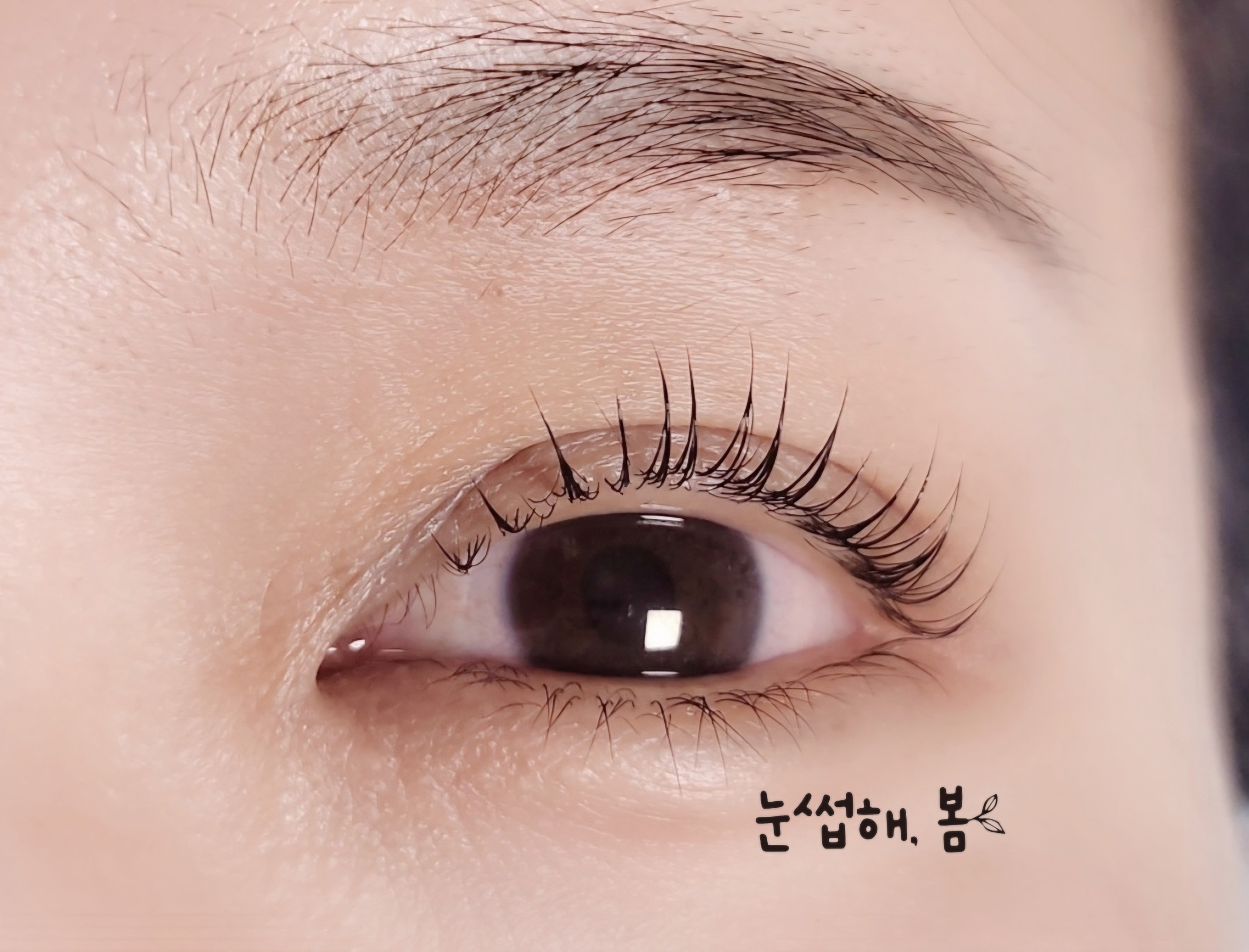 눈썹해봄