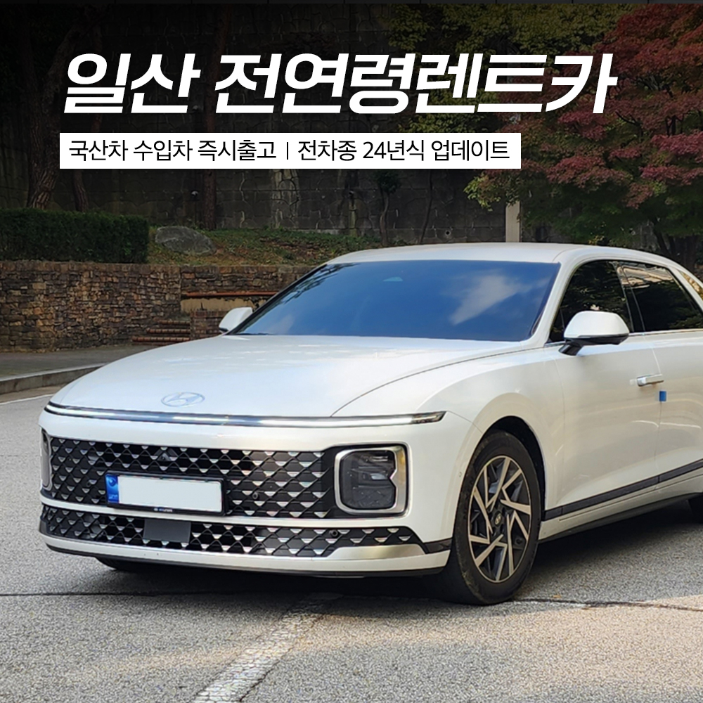 우정렌트카 일산영업소 대표 이미지