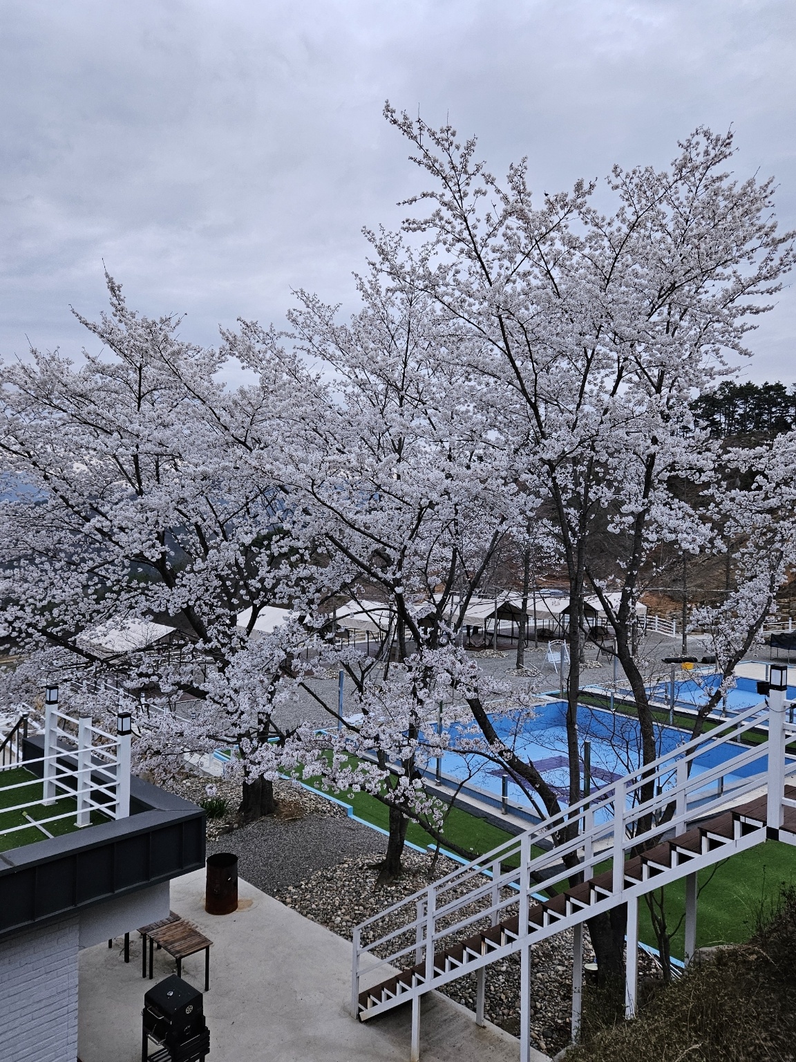 산청프리미엄캠핑장