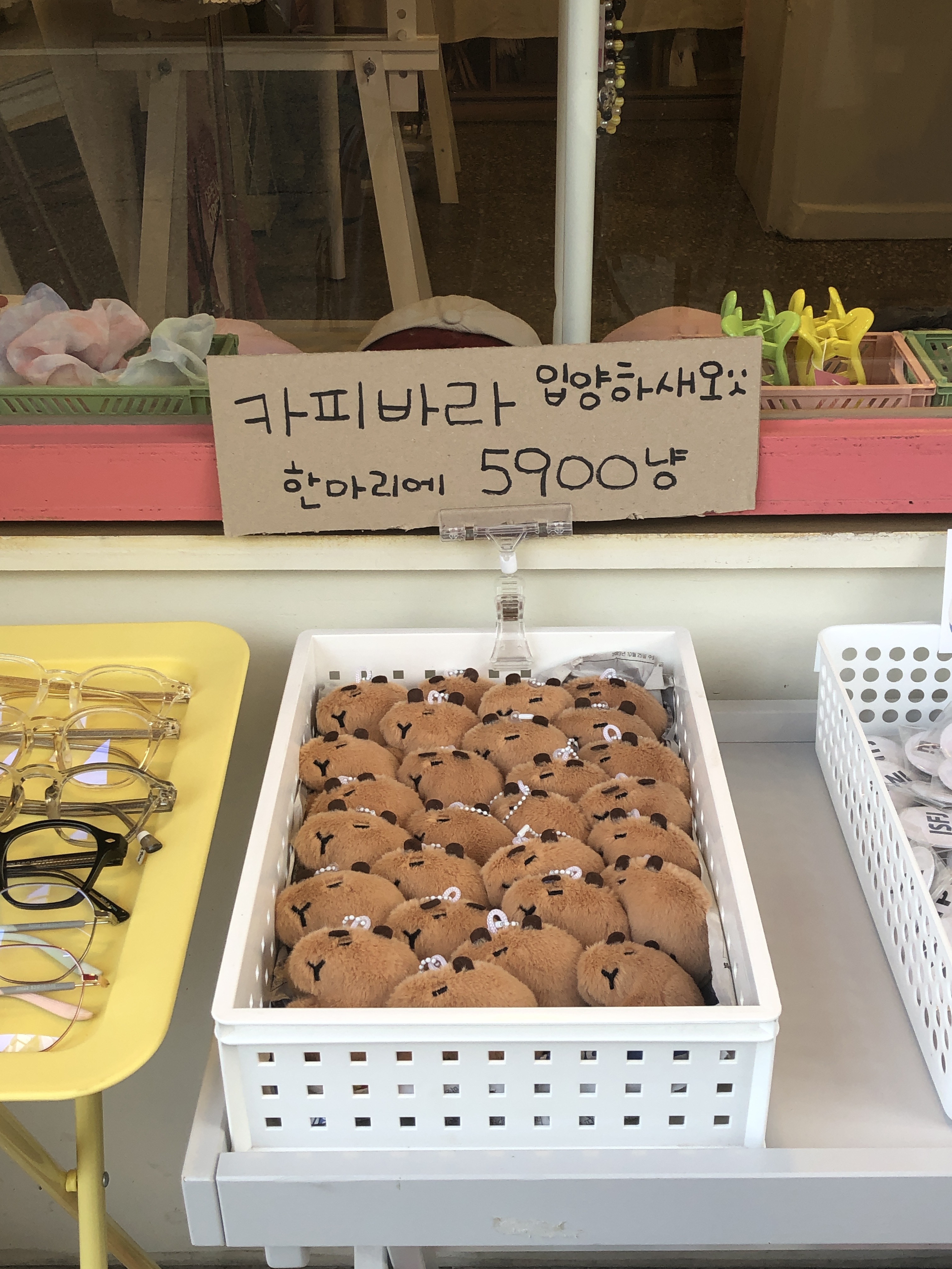 니니밥