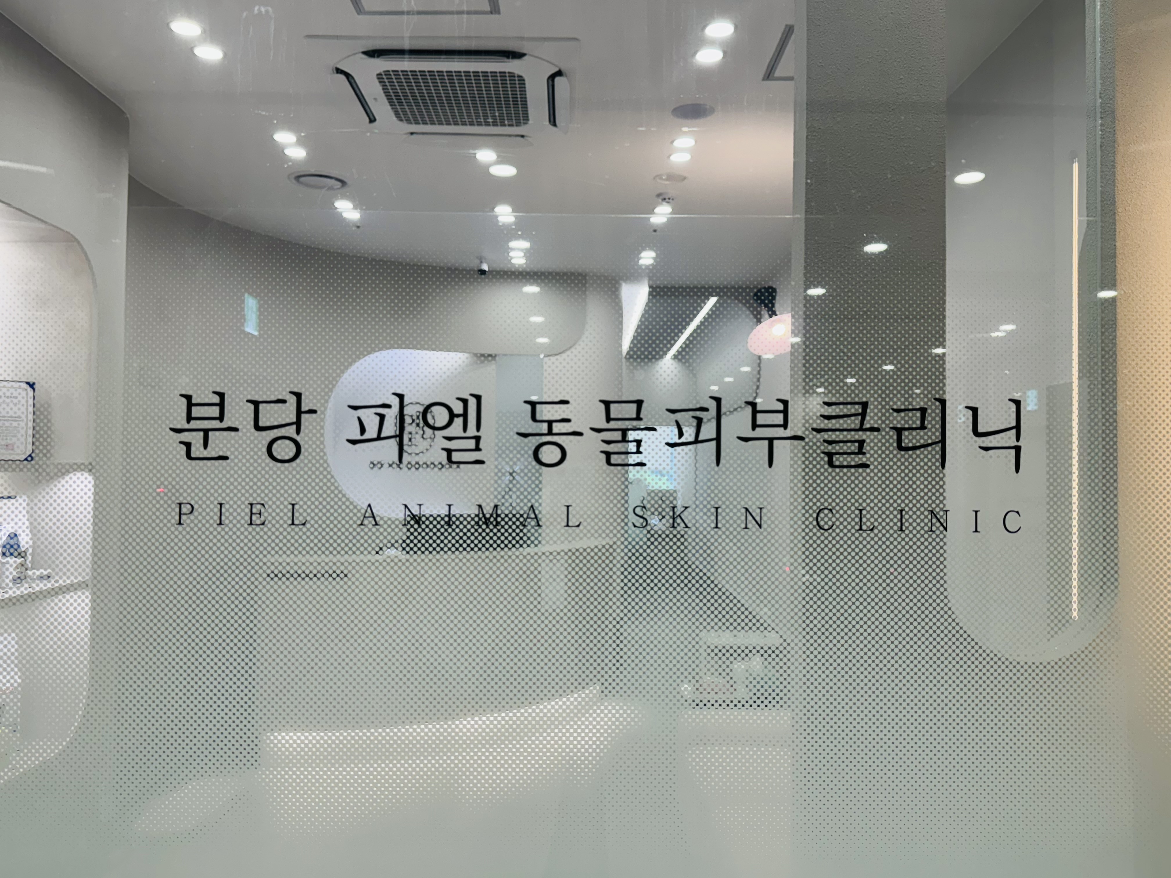 분당 피엘 동물피부클리닉 대표 이미지