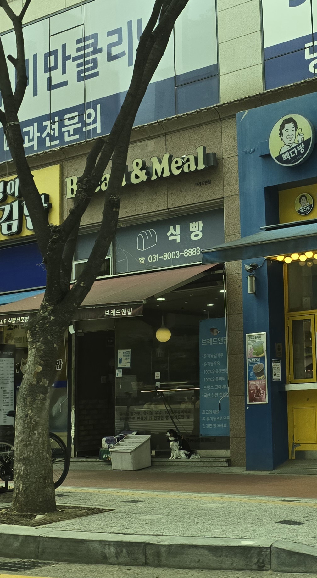 브레드앤밀
