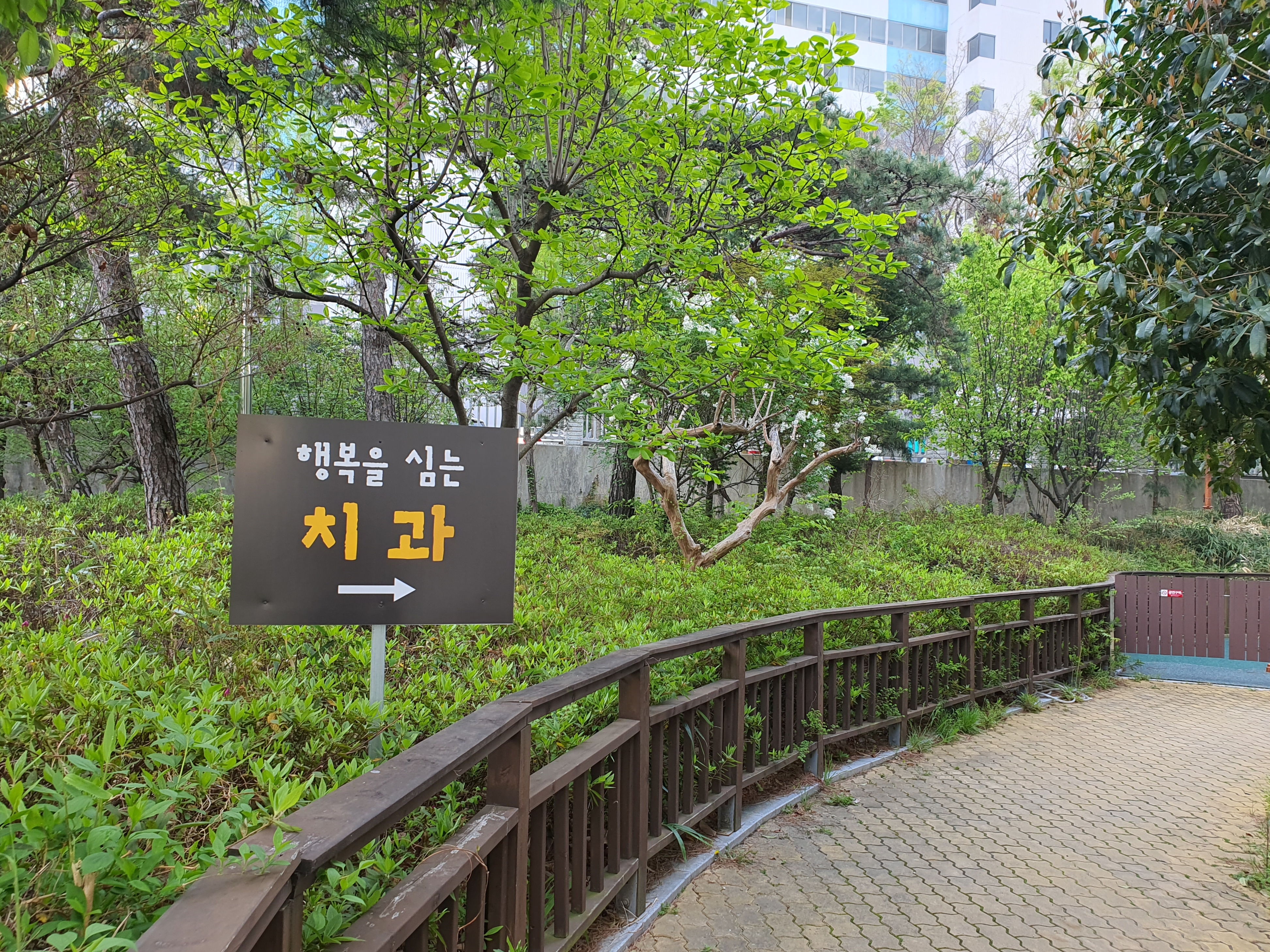 상인행복을심는치과의원 대표 이미지