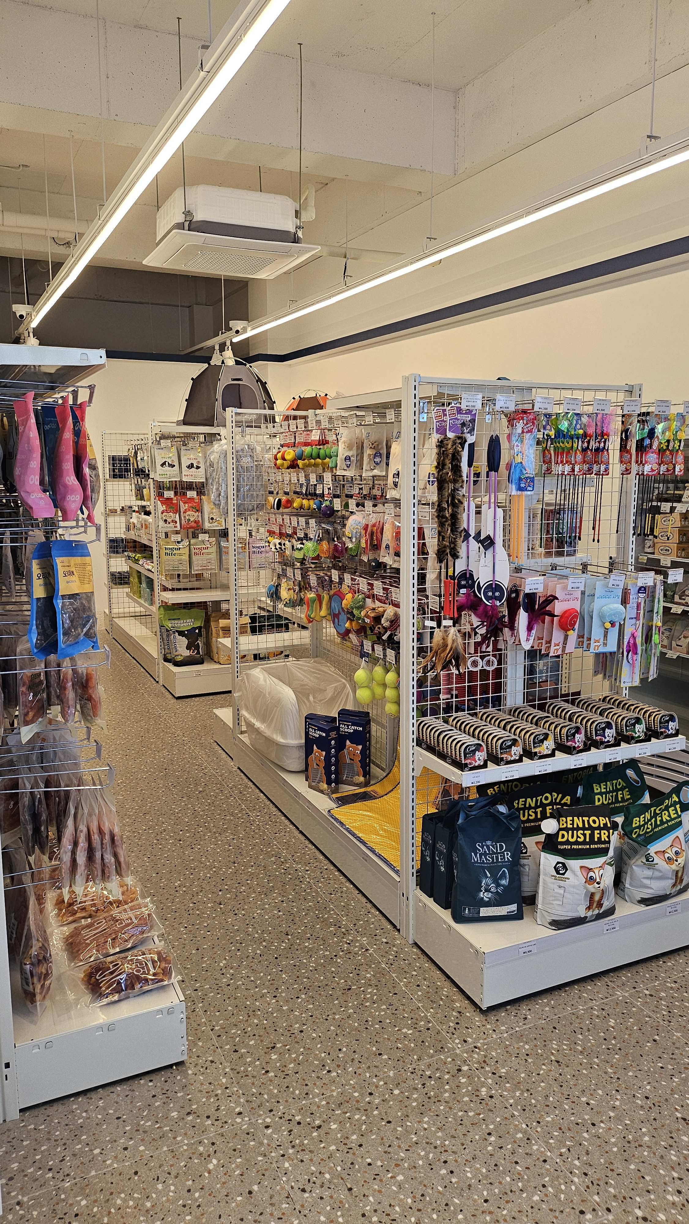 도그마캣 일광자이점 대표 이미지