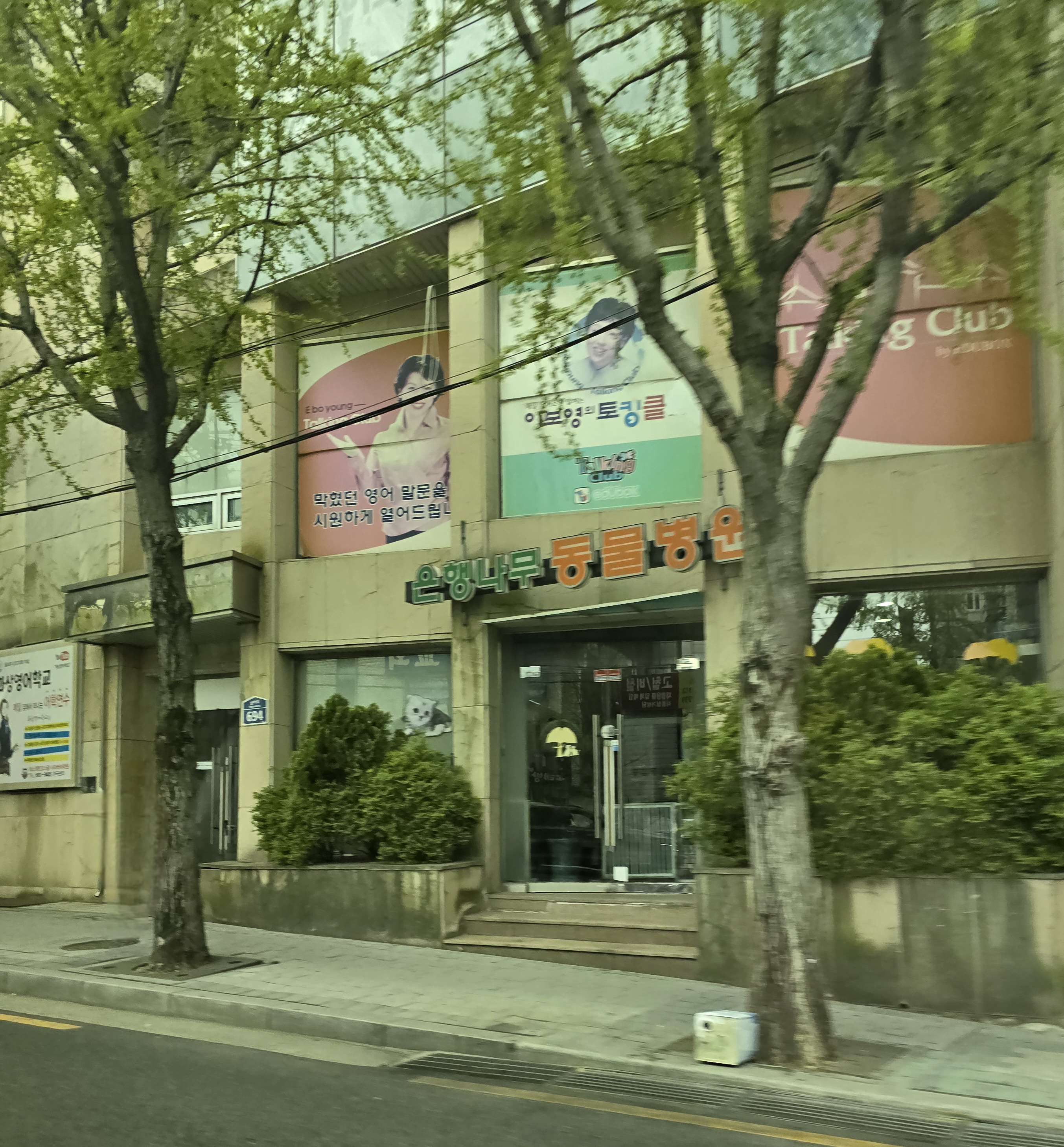 은행나무 종합동물병원 내부 또는 관련 모습