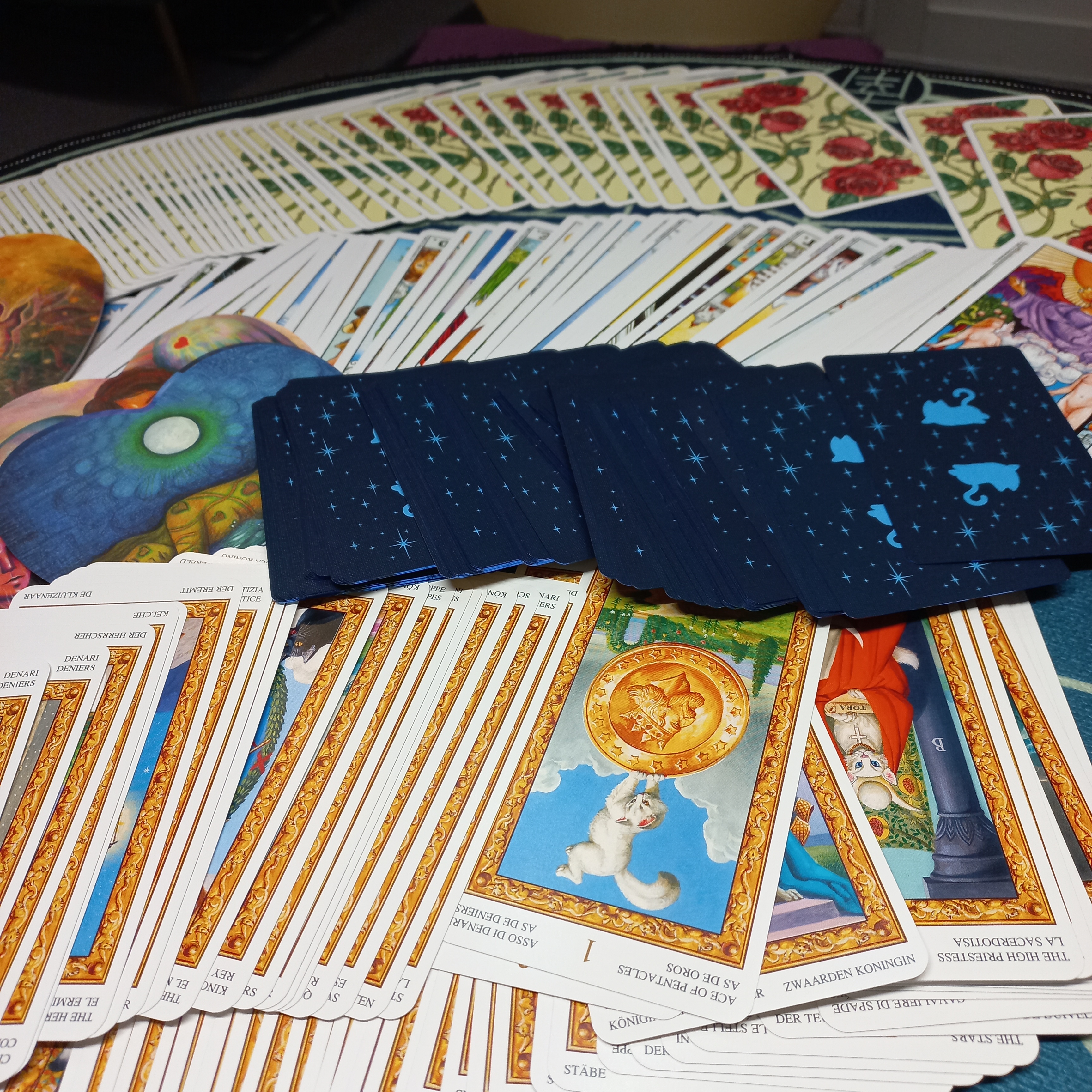 타로상담소세실 대표 이미지