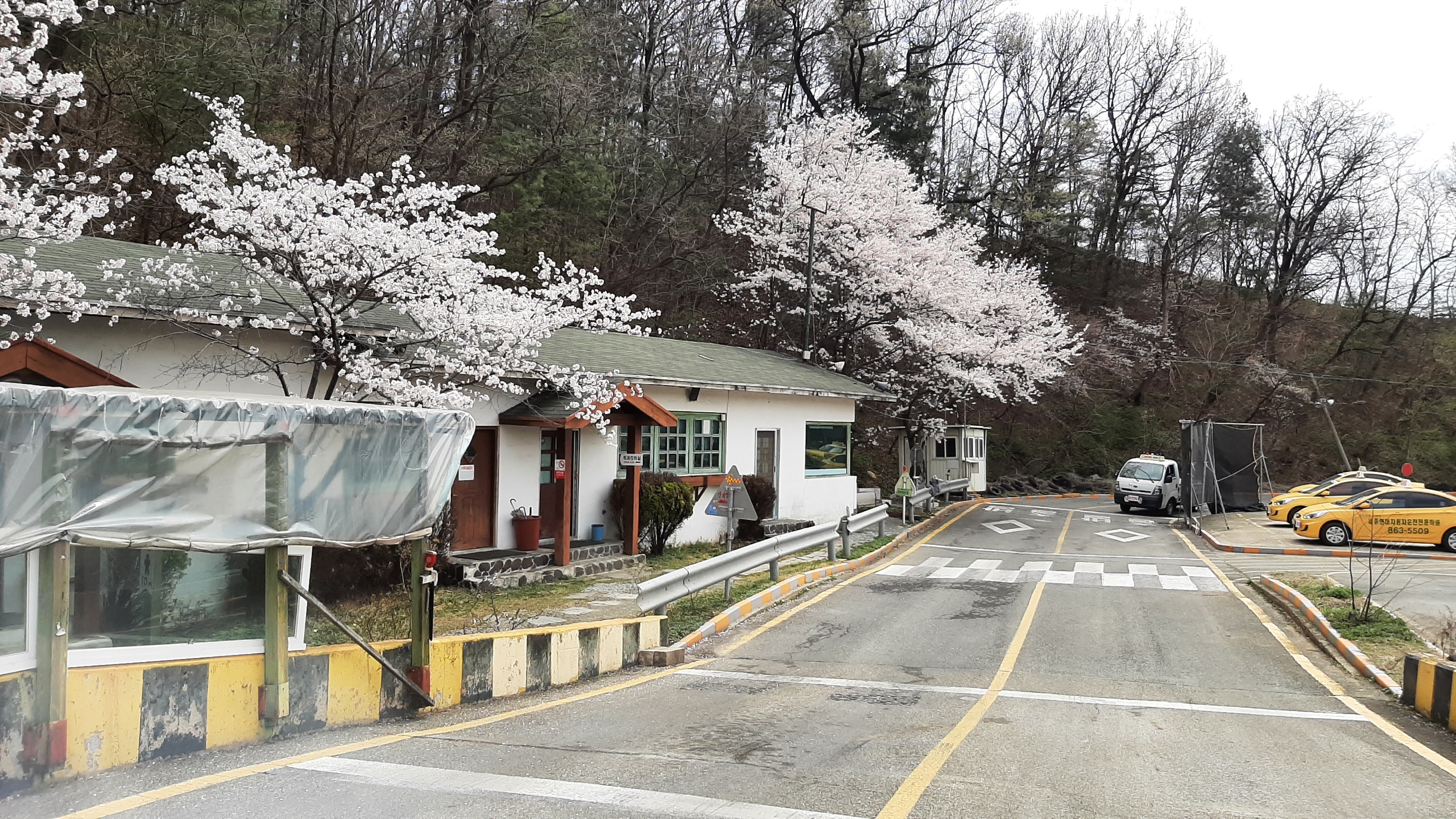 세종현대자동차운전전문학원