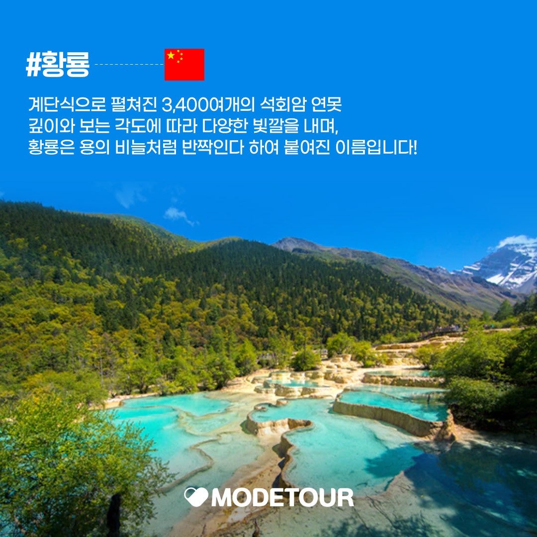 모두투어 모두푸른여행사