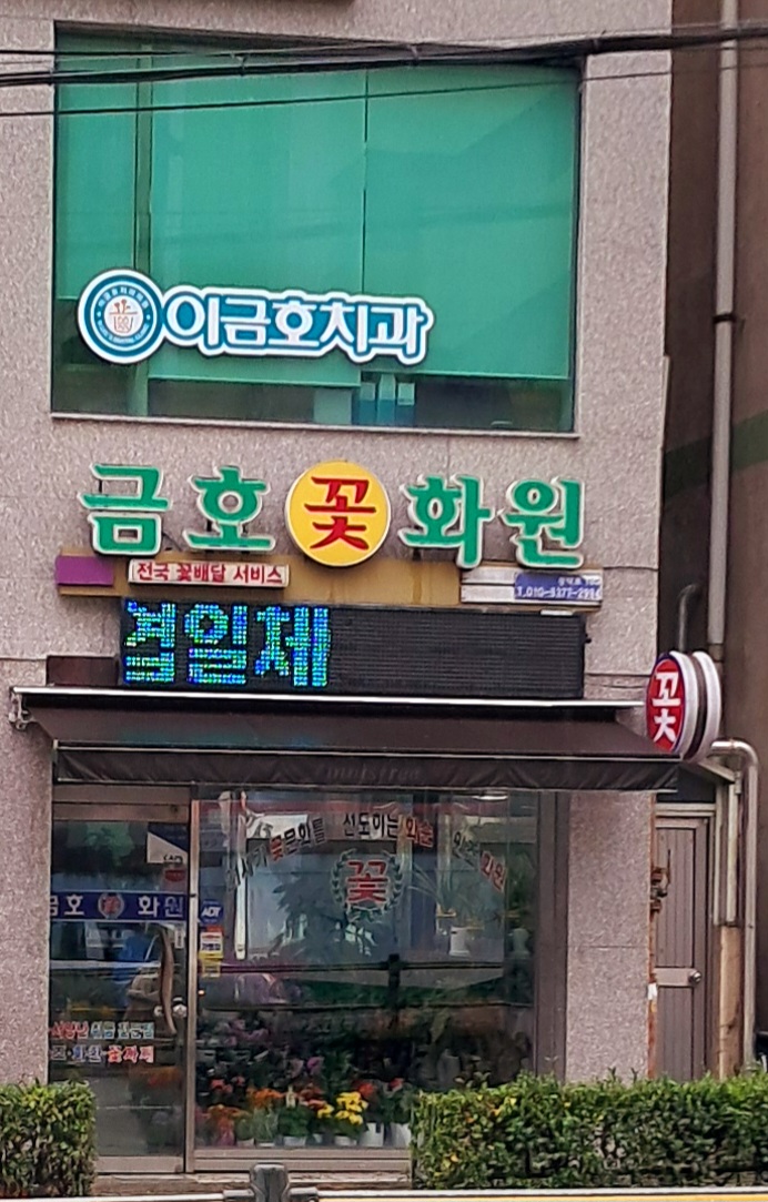 금호꽃화원