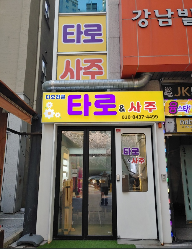 디오라클 타로 사주