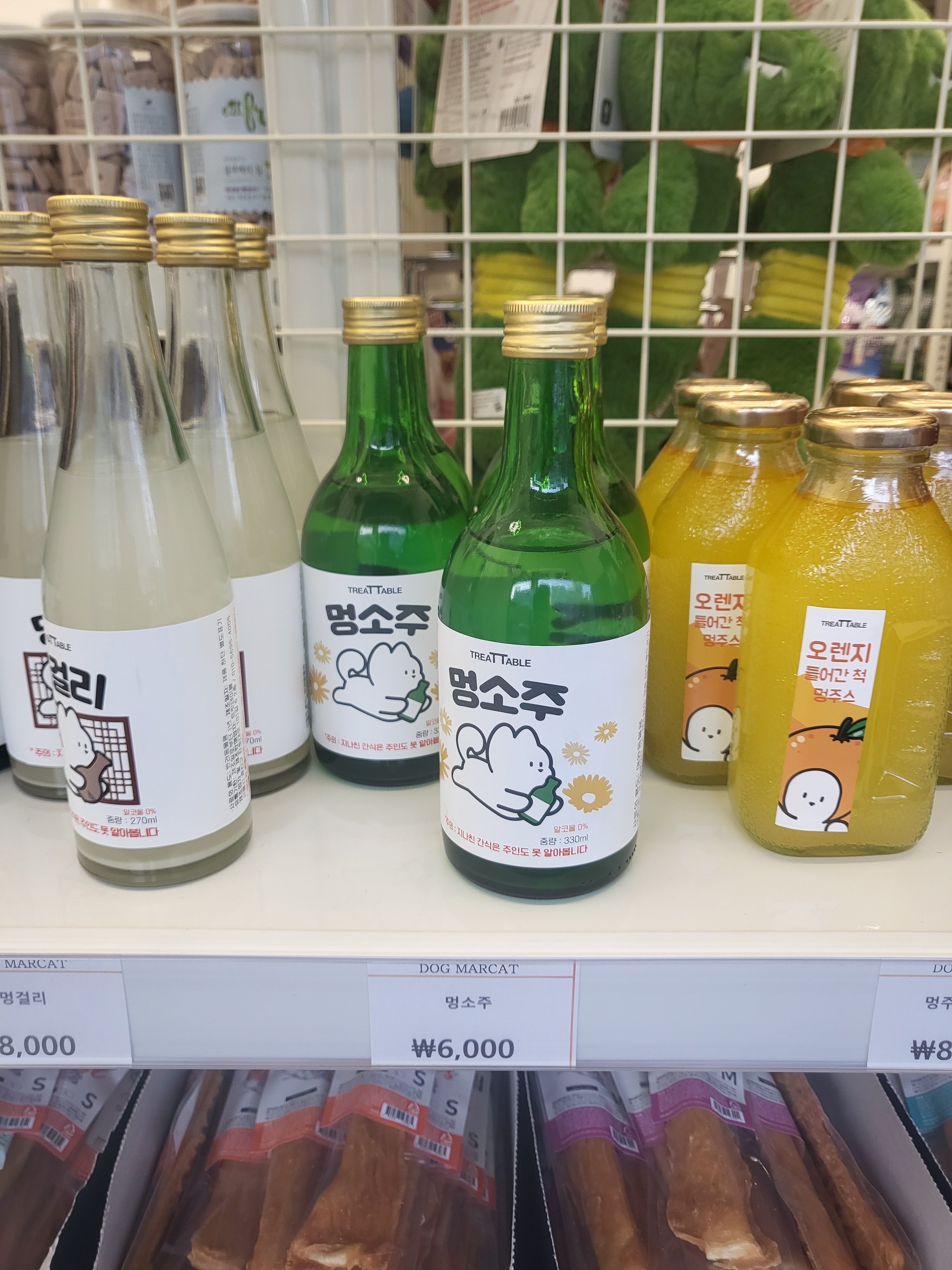 도그마캣 별내점