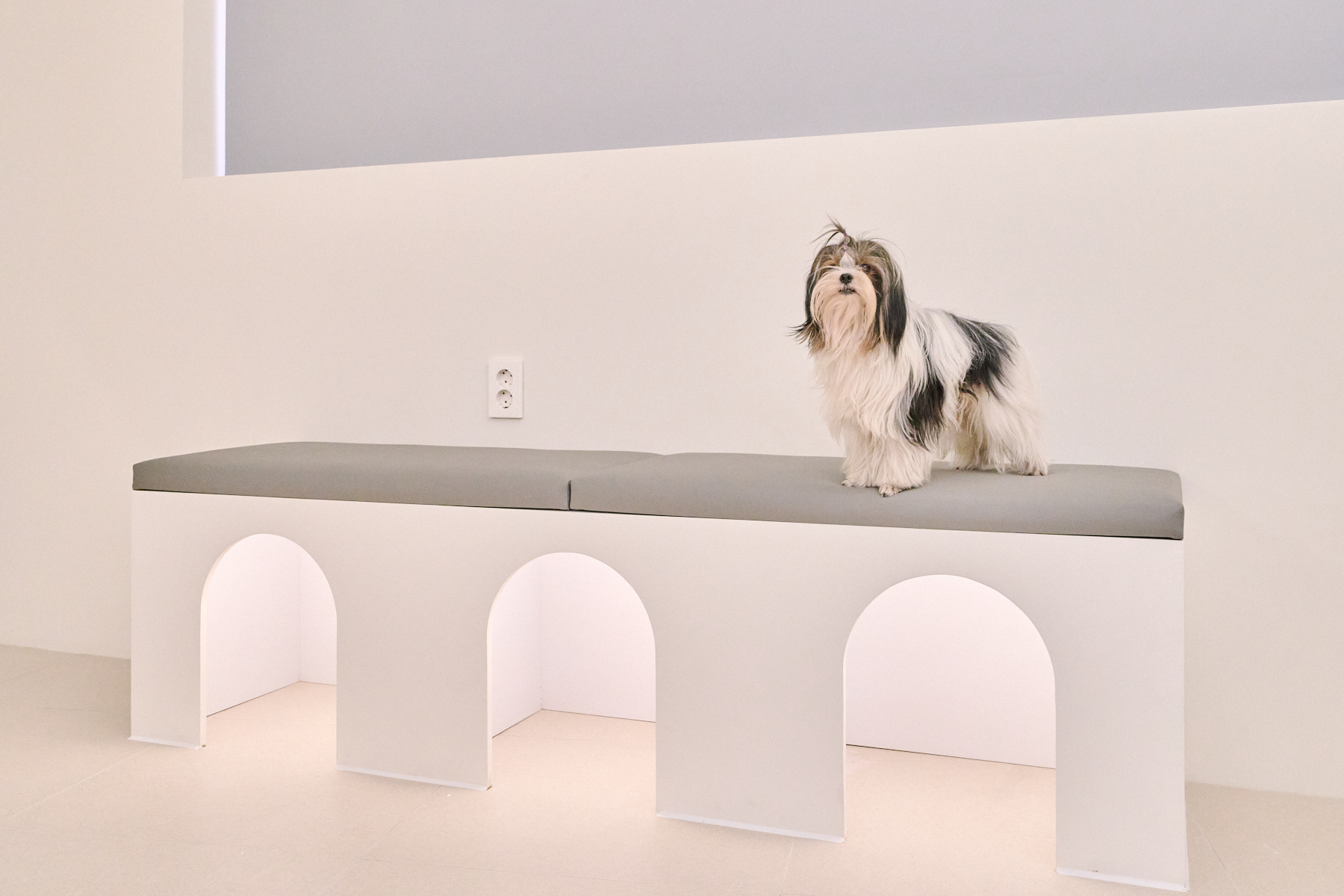 미미애견미용호텔 대표 이미지