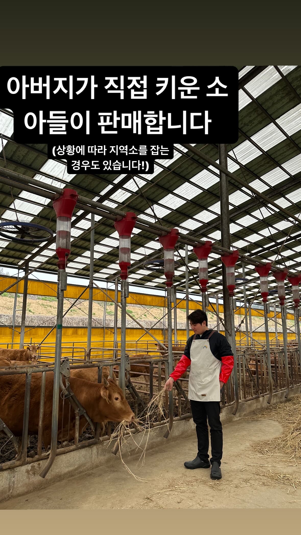 홍성한우9900원 대전목동점