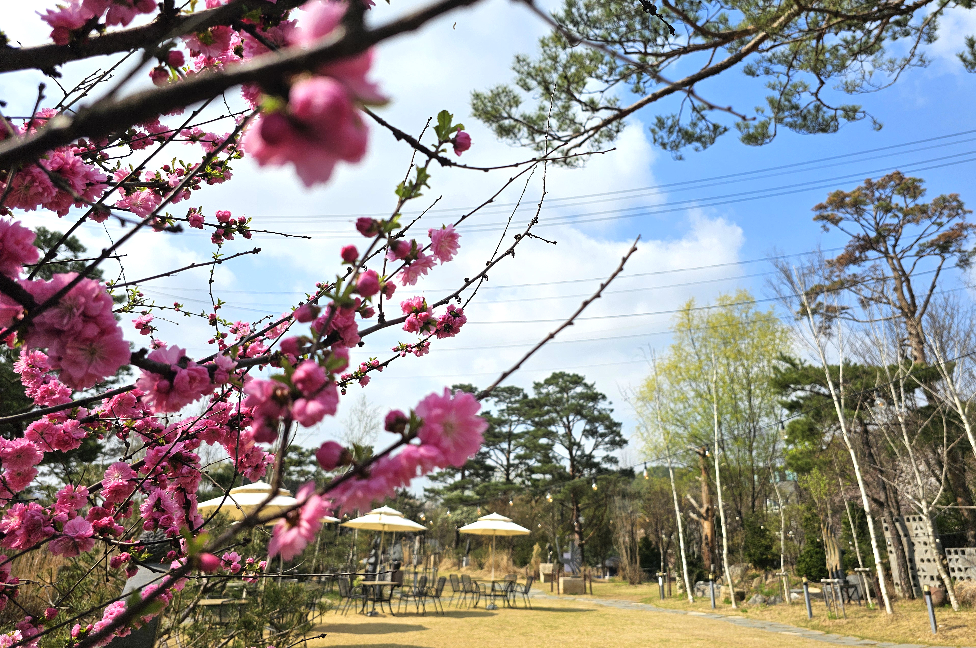 포시즌어데이 대표 이미지