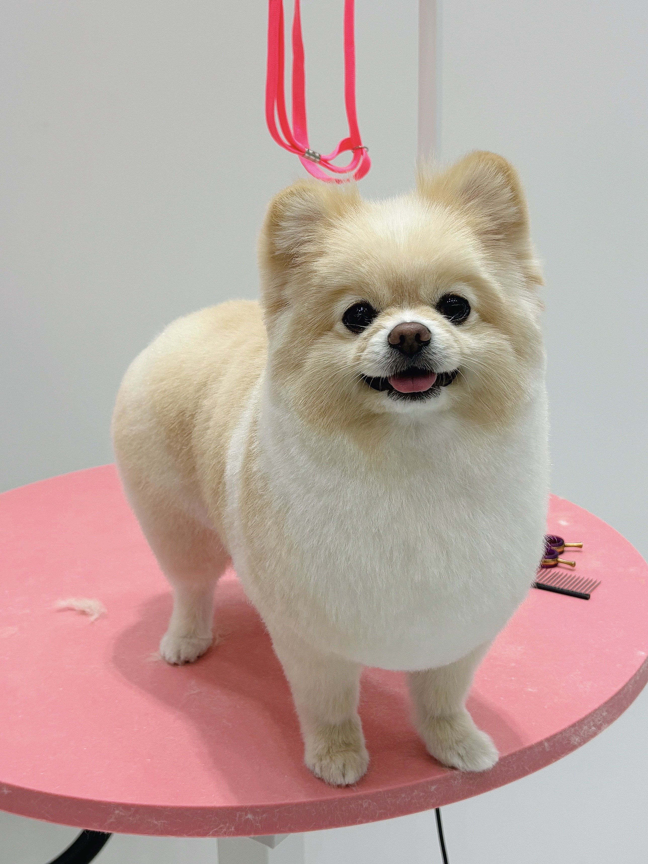 몽개몽개 4