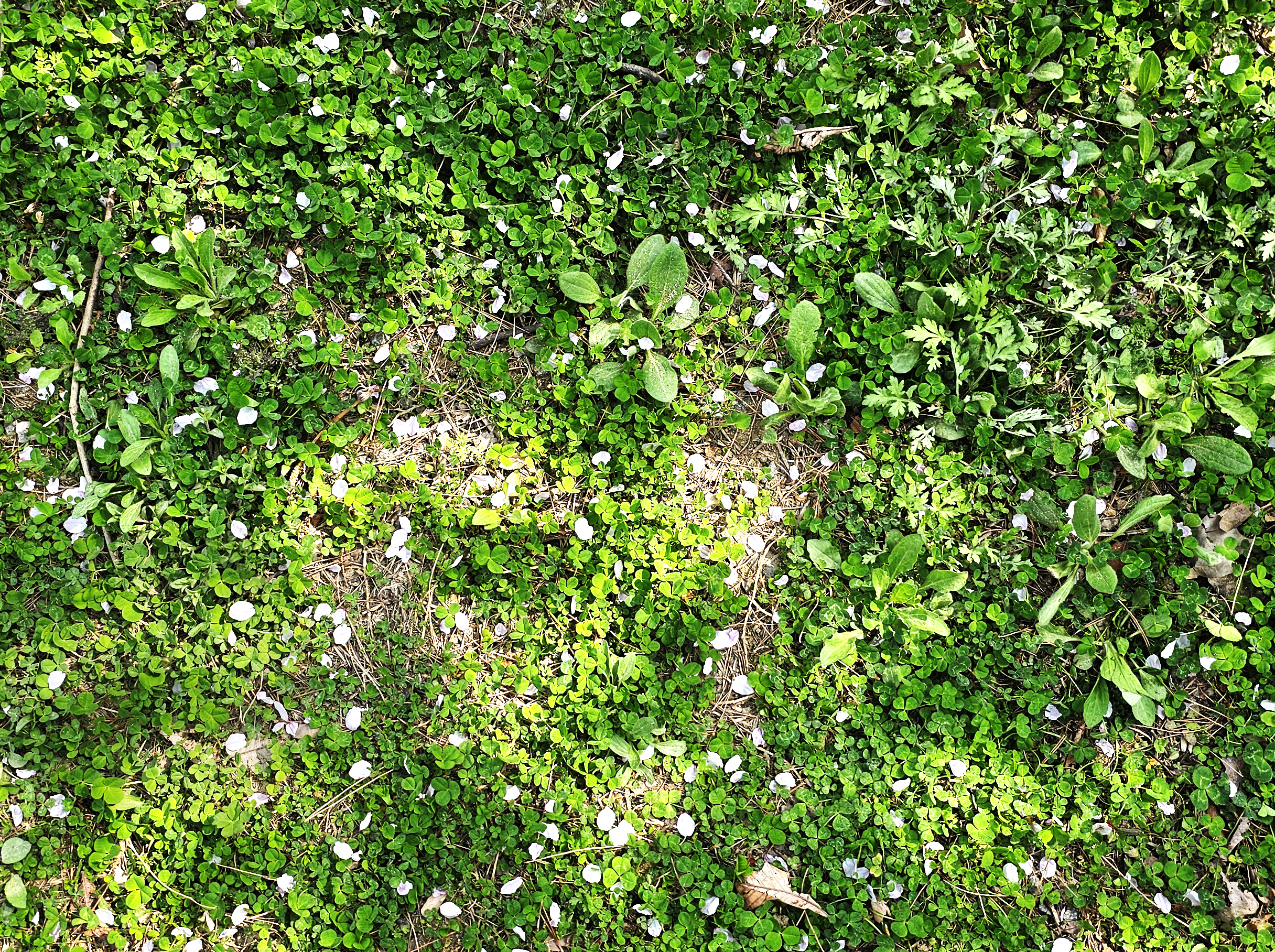 포시즌어데이 대표 이미지