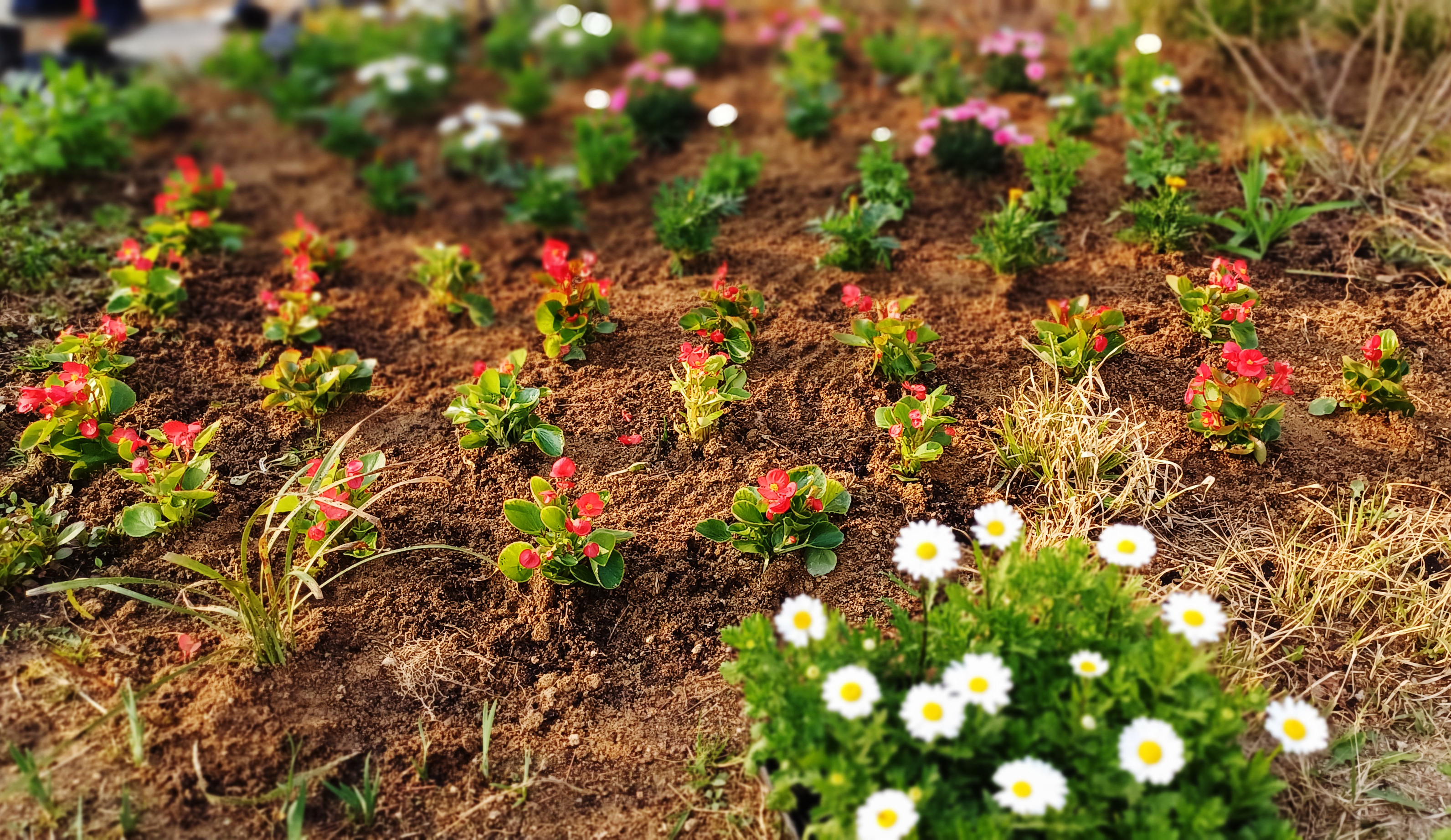 포시즌어데이 대표 이미지