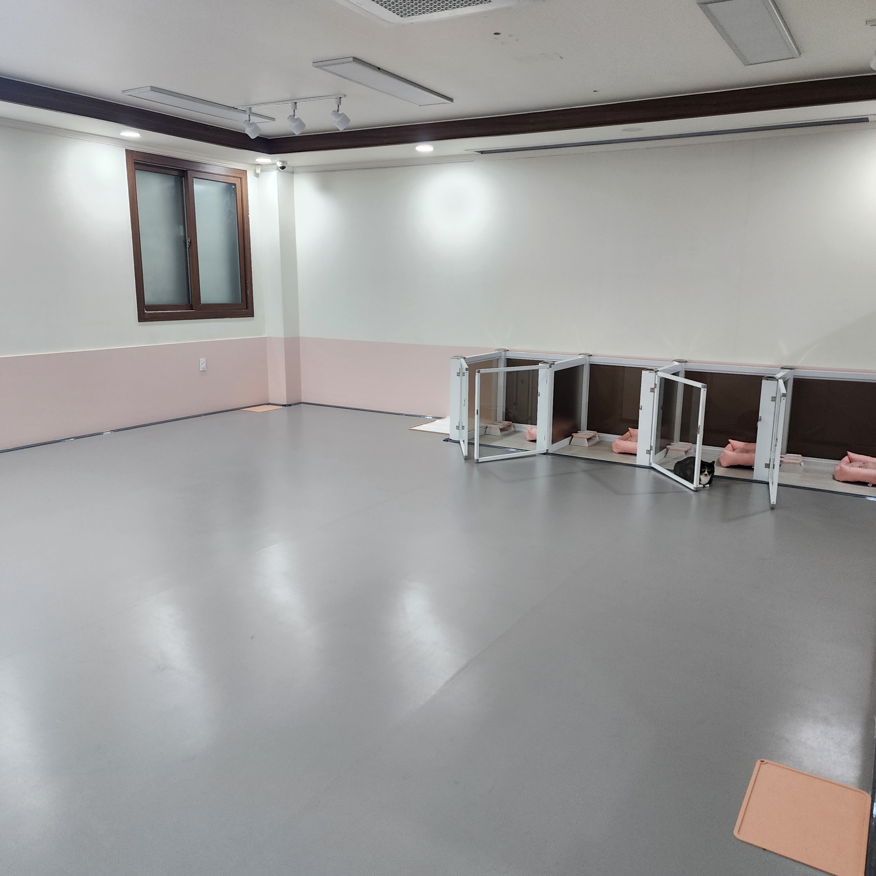 랄라독 애견호텔 대표 이미지