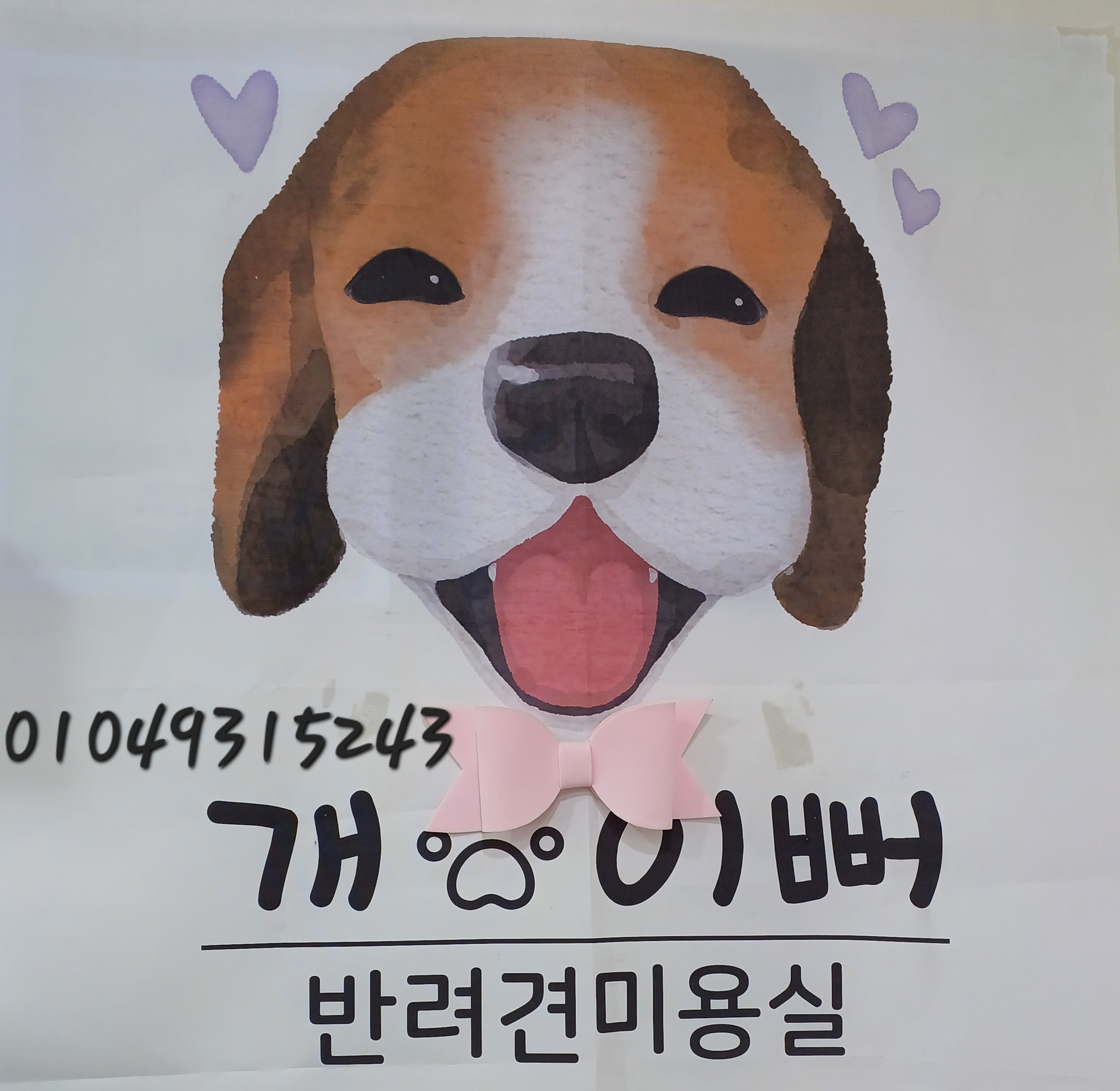 개이뻐애견미용실