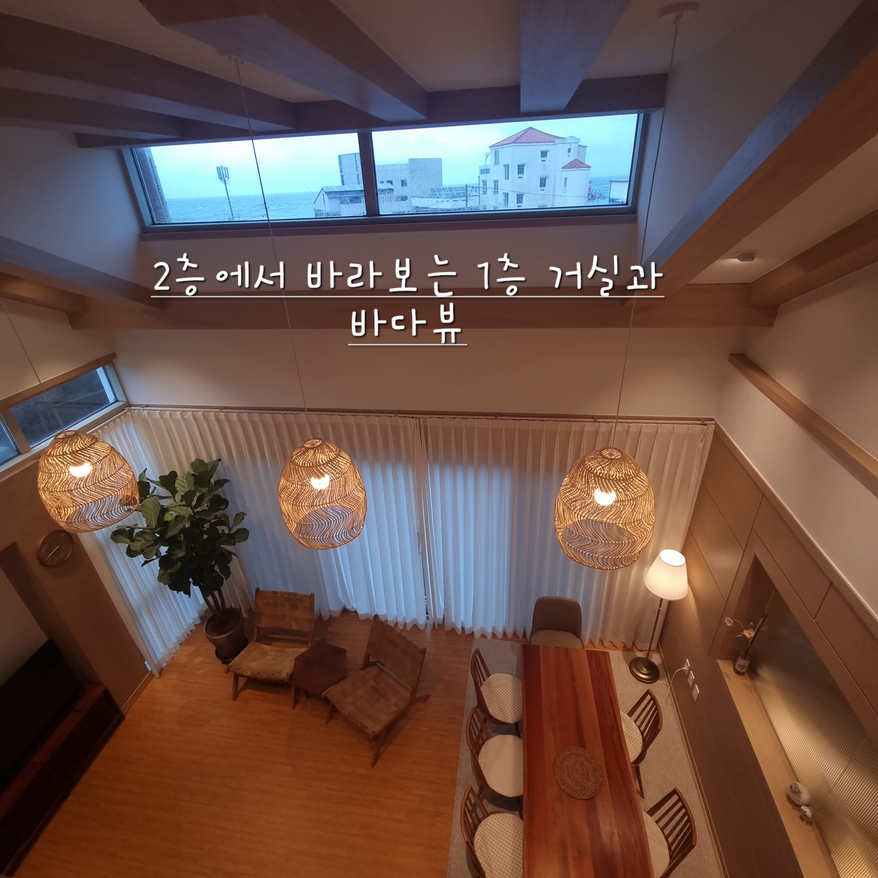 퐁낭그늘