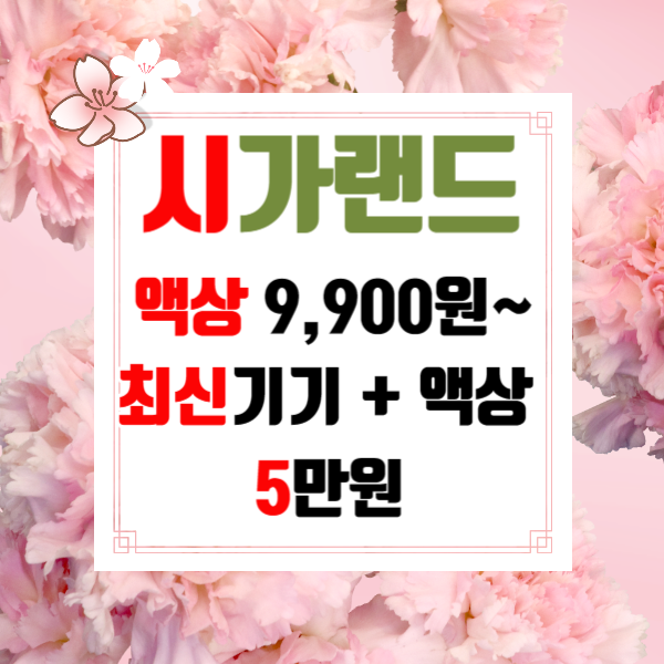 시가랜드 전자담배