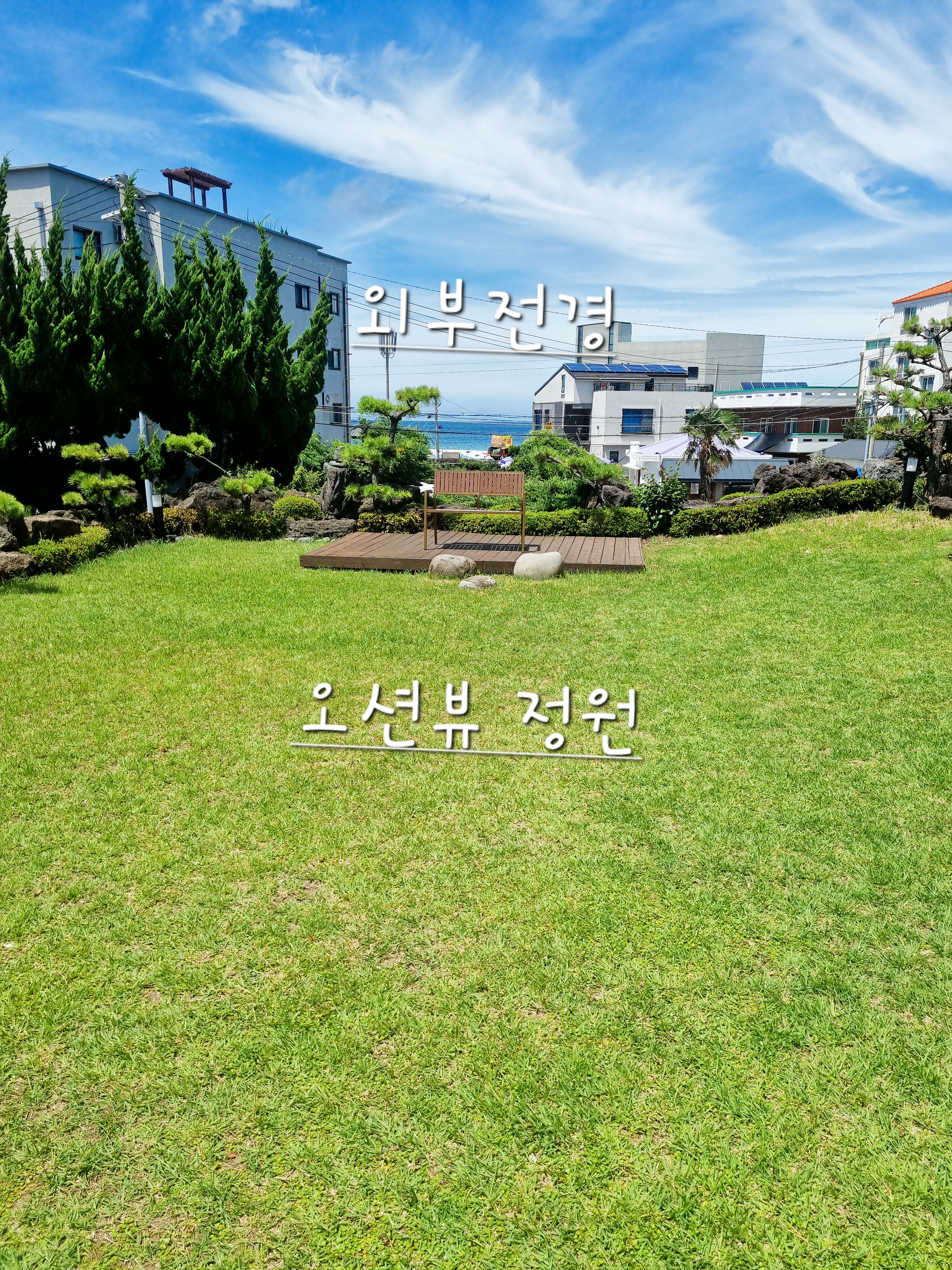 퐁낭그늘