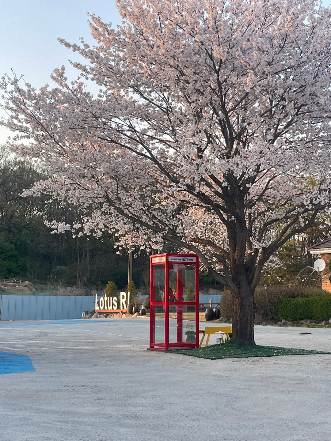 연꽃빌리지관광농원