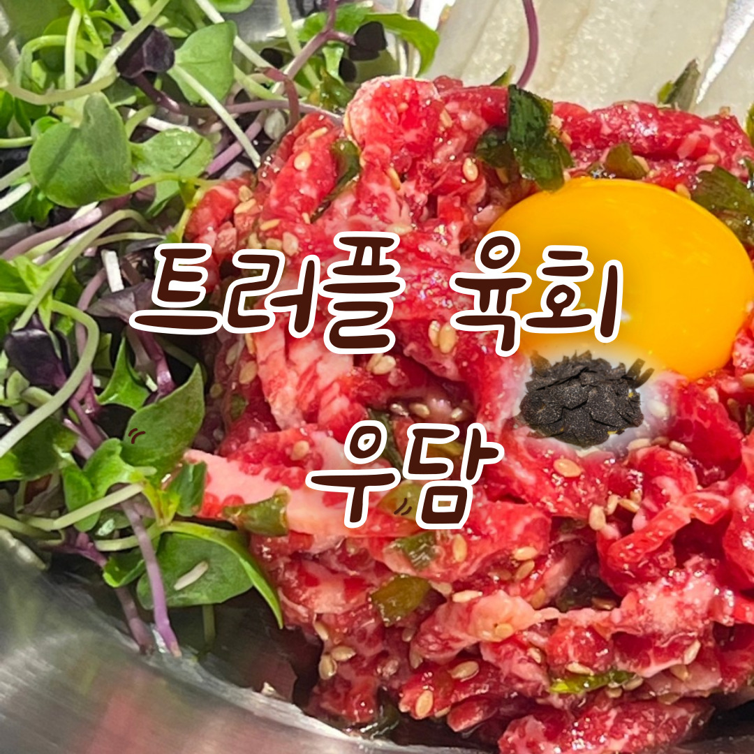 우담