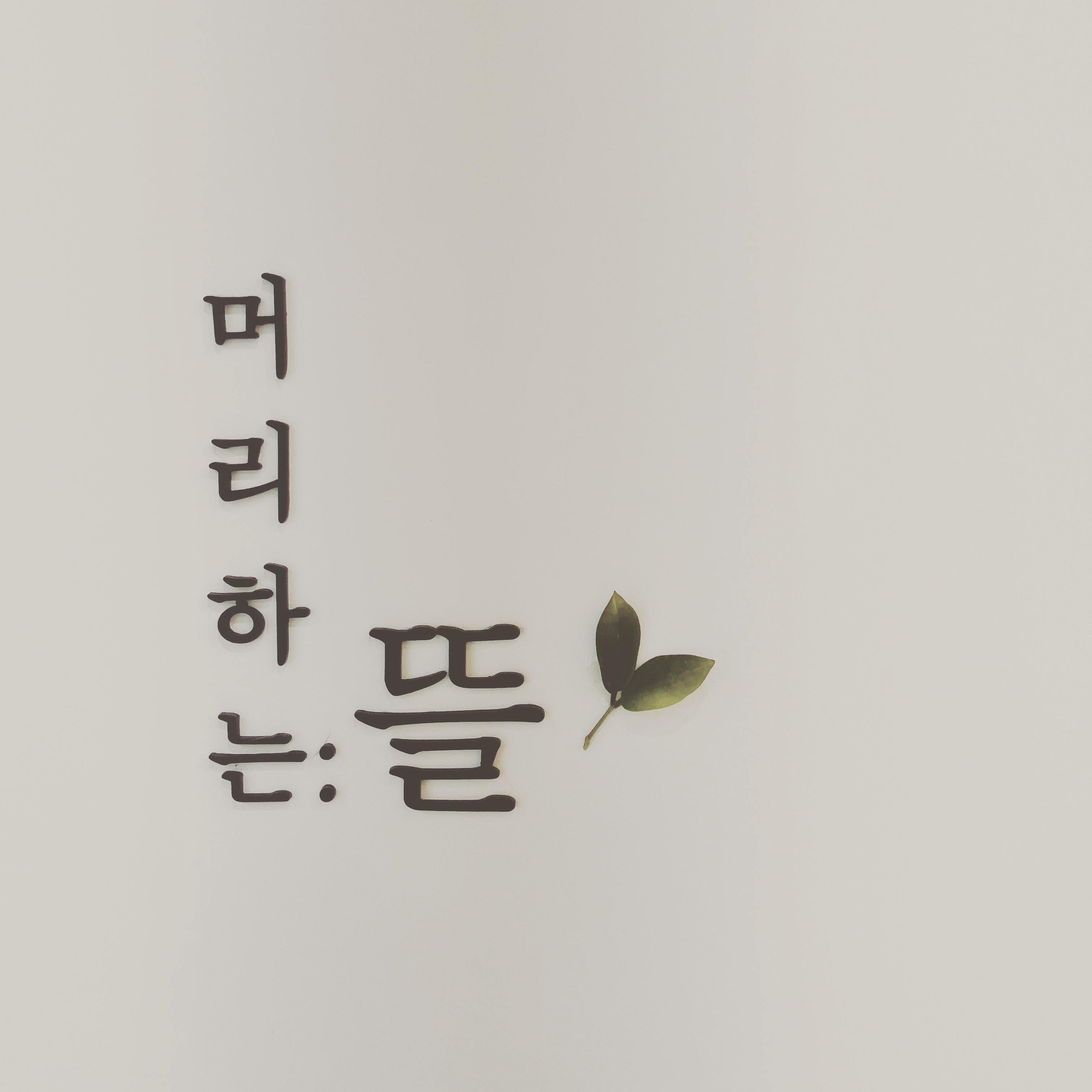 머리하는 뜰