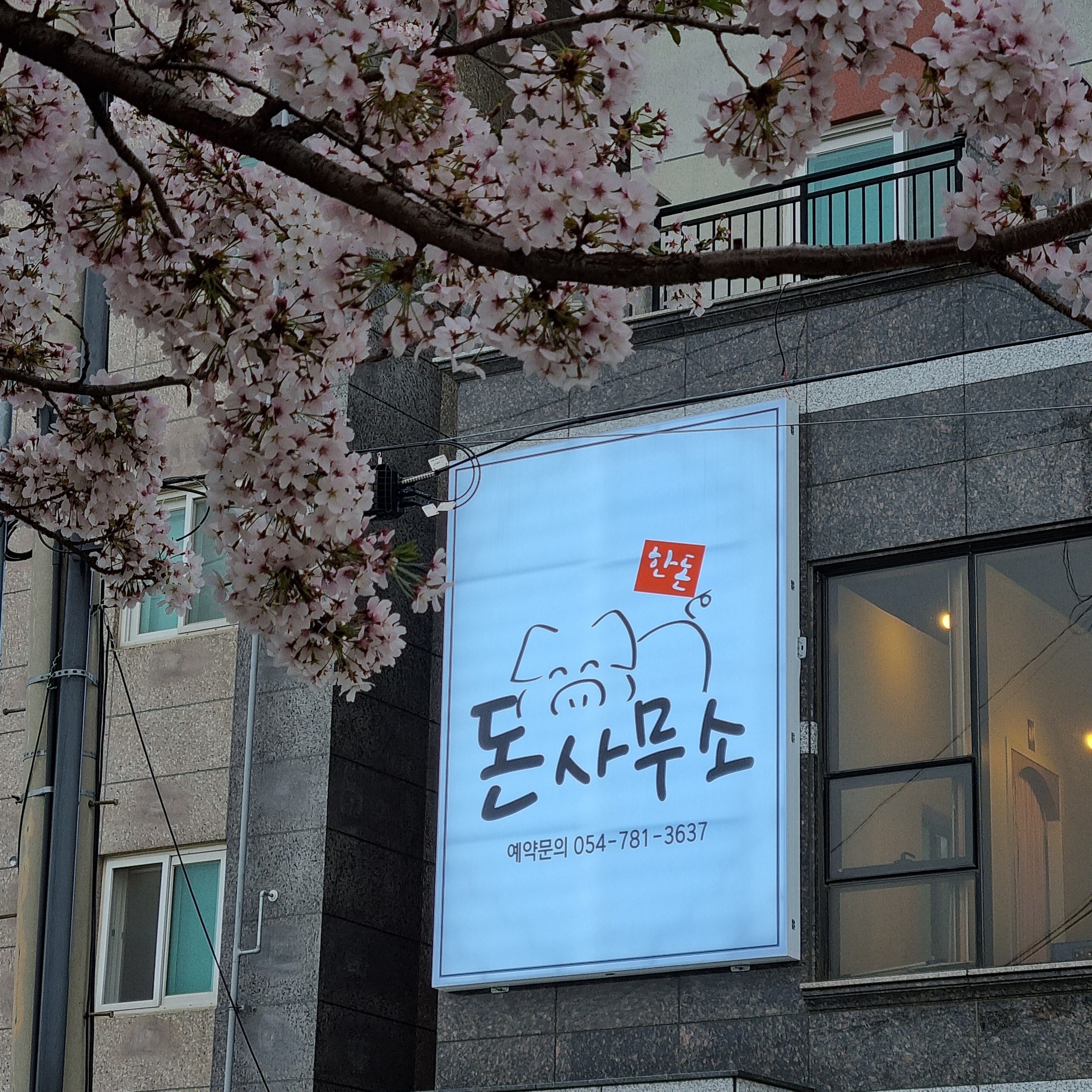 돈사무소