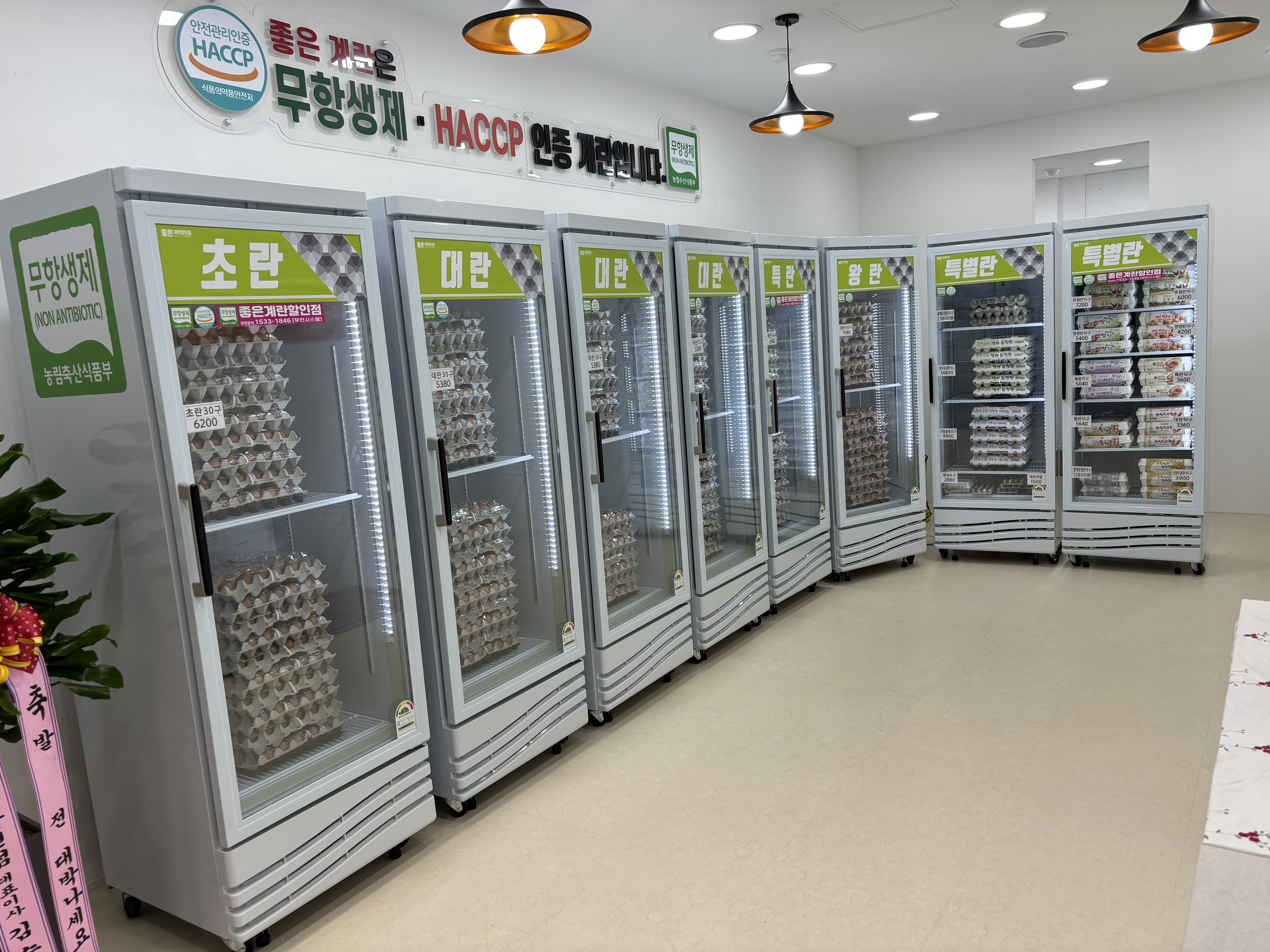 좋은계란할인점 일산탄현점