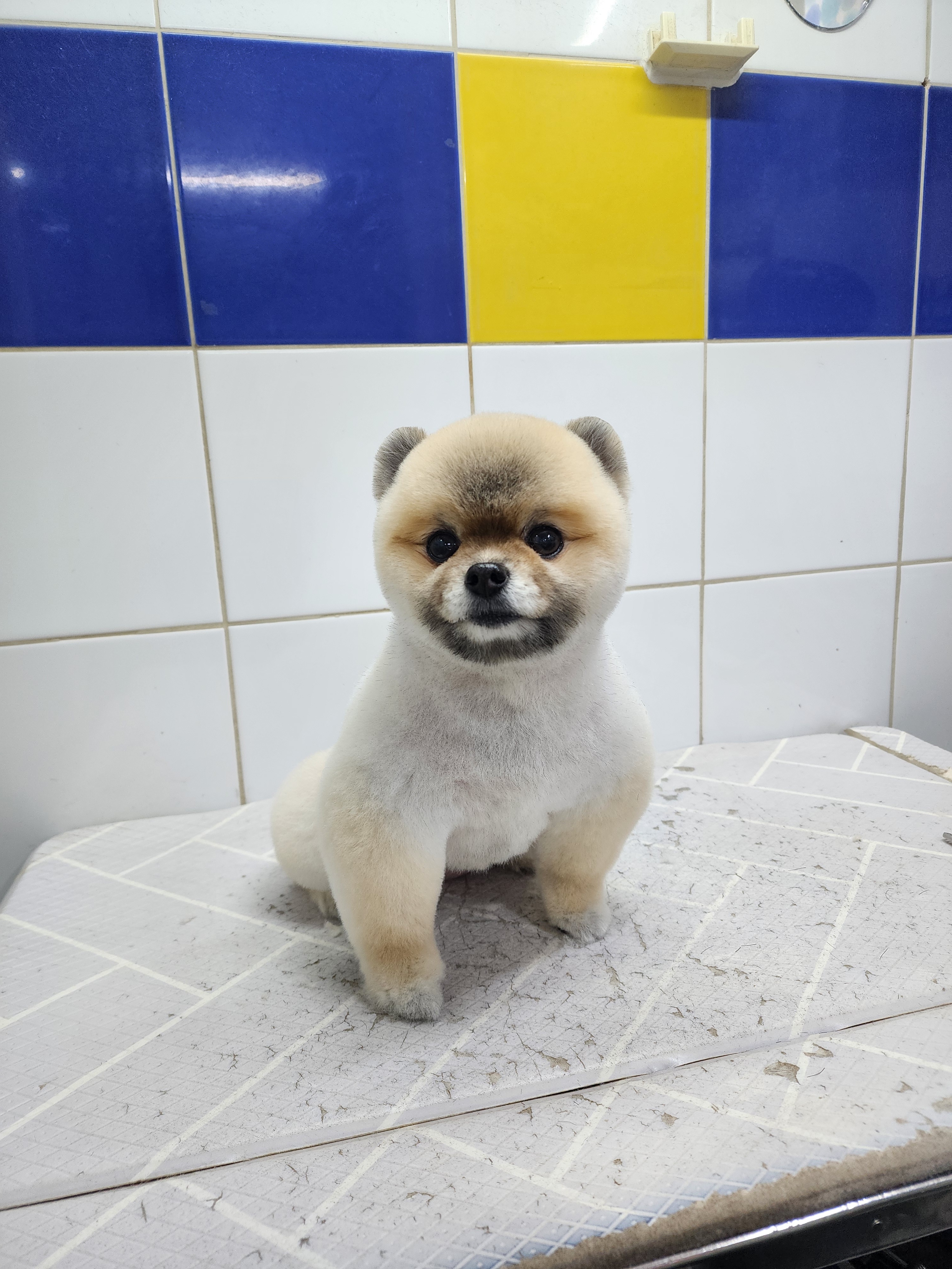 산본동물병원 대표 이미지