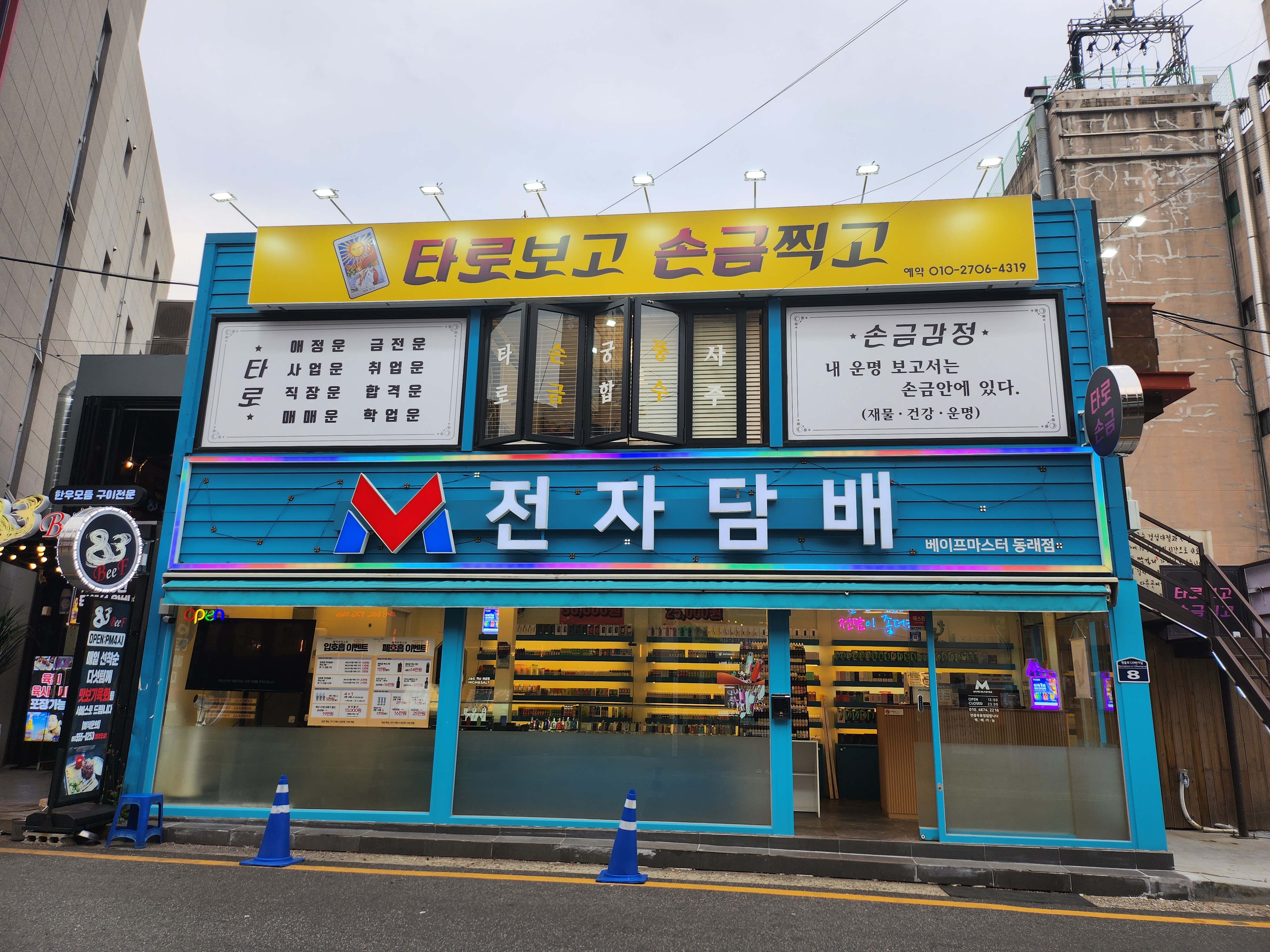 타로보고 손금찍고