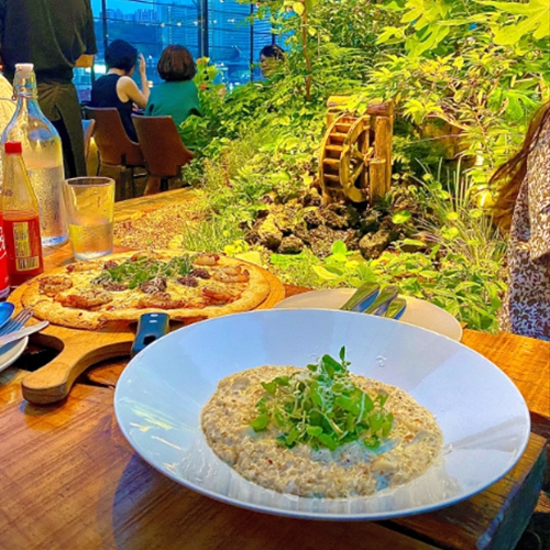 파티오 알토 대표 이미지