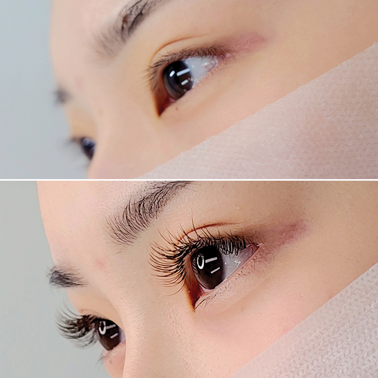 디엘르 대표 이미지