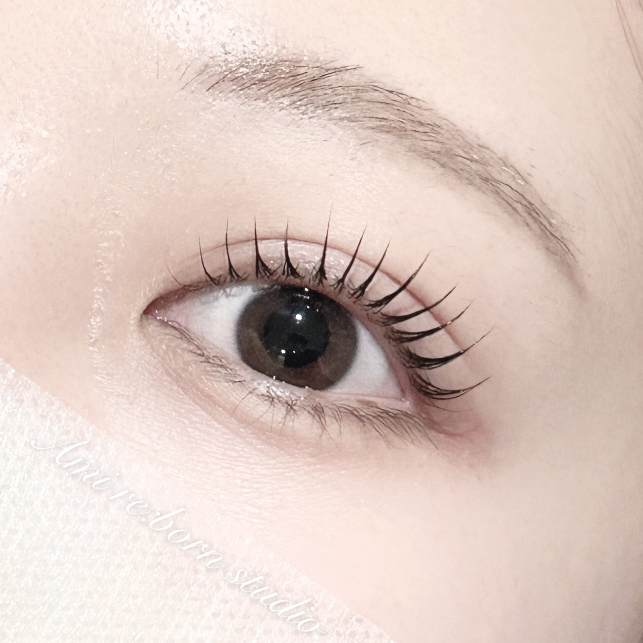 아미리본스튜디오 대표 이미지