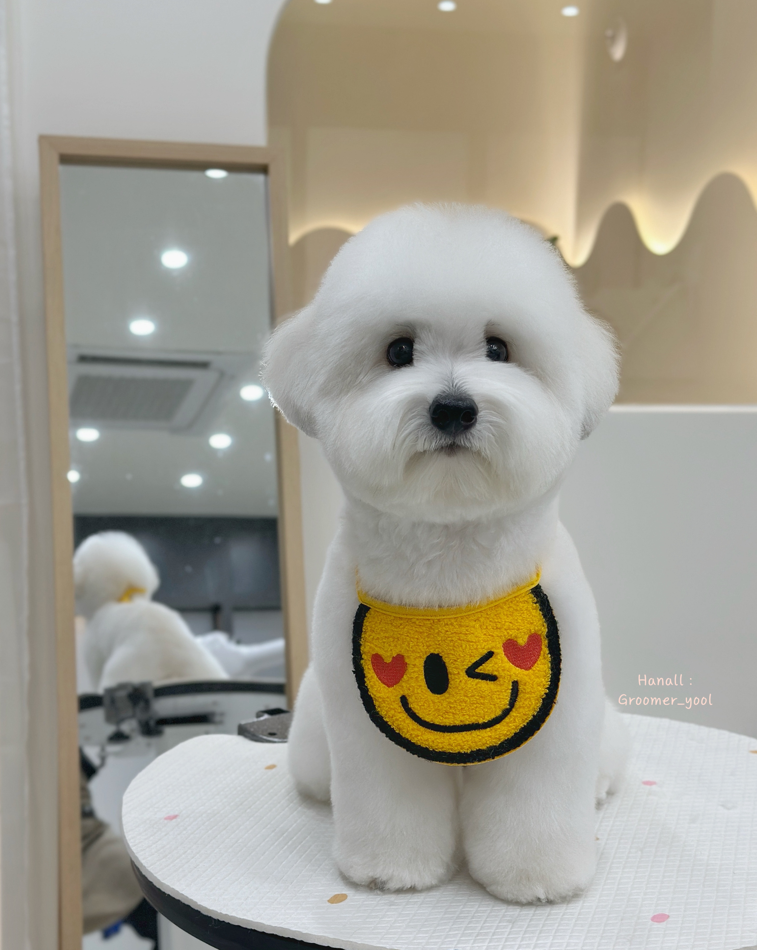 한올디테일그루밍 대표 이미지