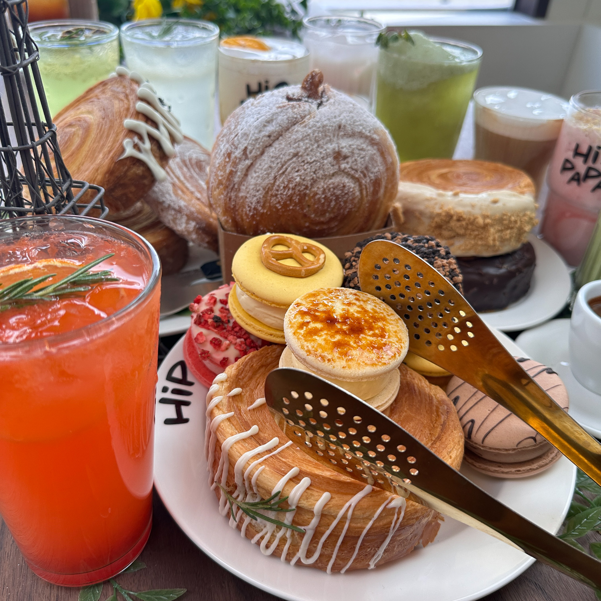 하이파파
