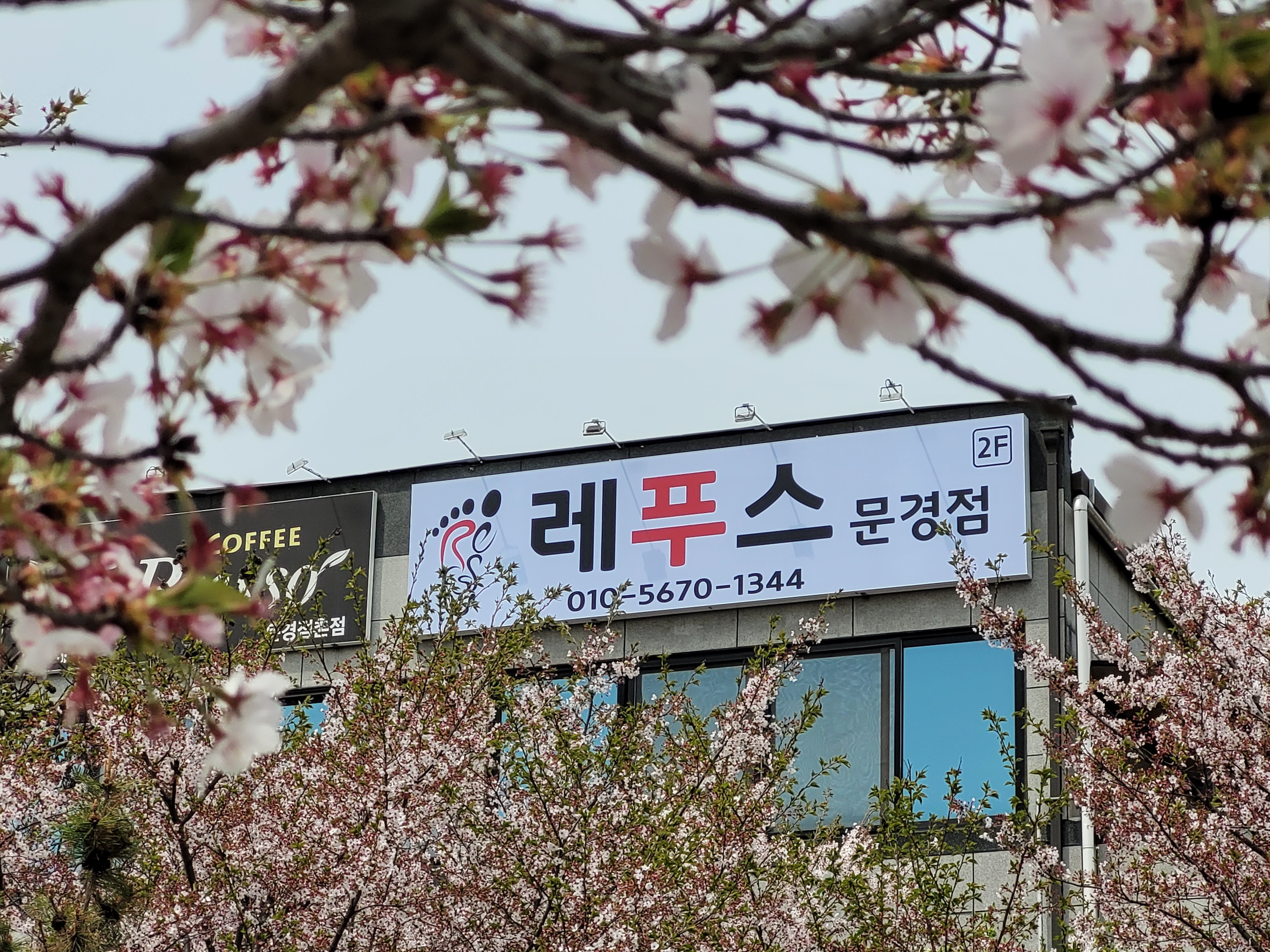 레푸스 문경점촌점